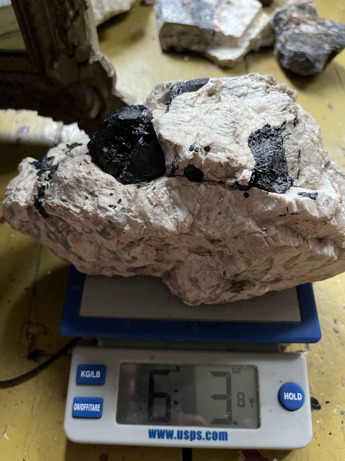 HUGE 6lb 9” Black Tourmaline Schorl Crystals In Matrix Maine USA Locality Quartz