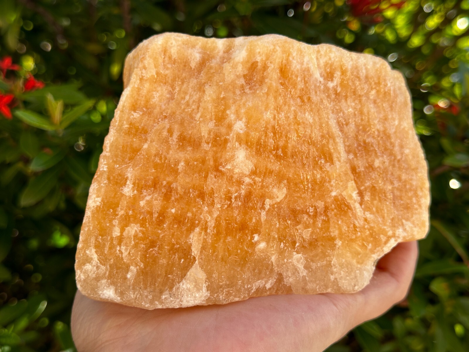 Extra Large Orange Calcite Rough Stones, 3″ – 5″ Raw Calcite Orange Natural