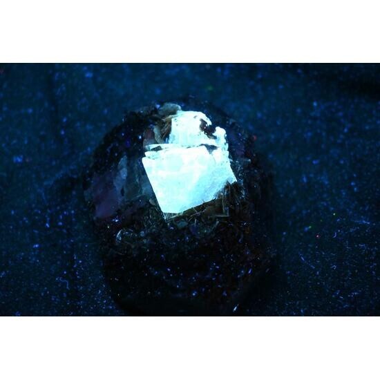 KB: SW FL BRIGHT BLUE/WHITE XL OF SCHEELITE ON MATRIX PINGWU MINE, SICHUAN CHINA