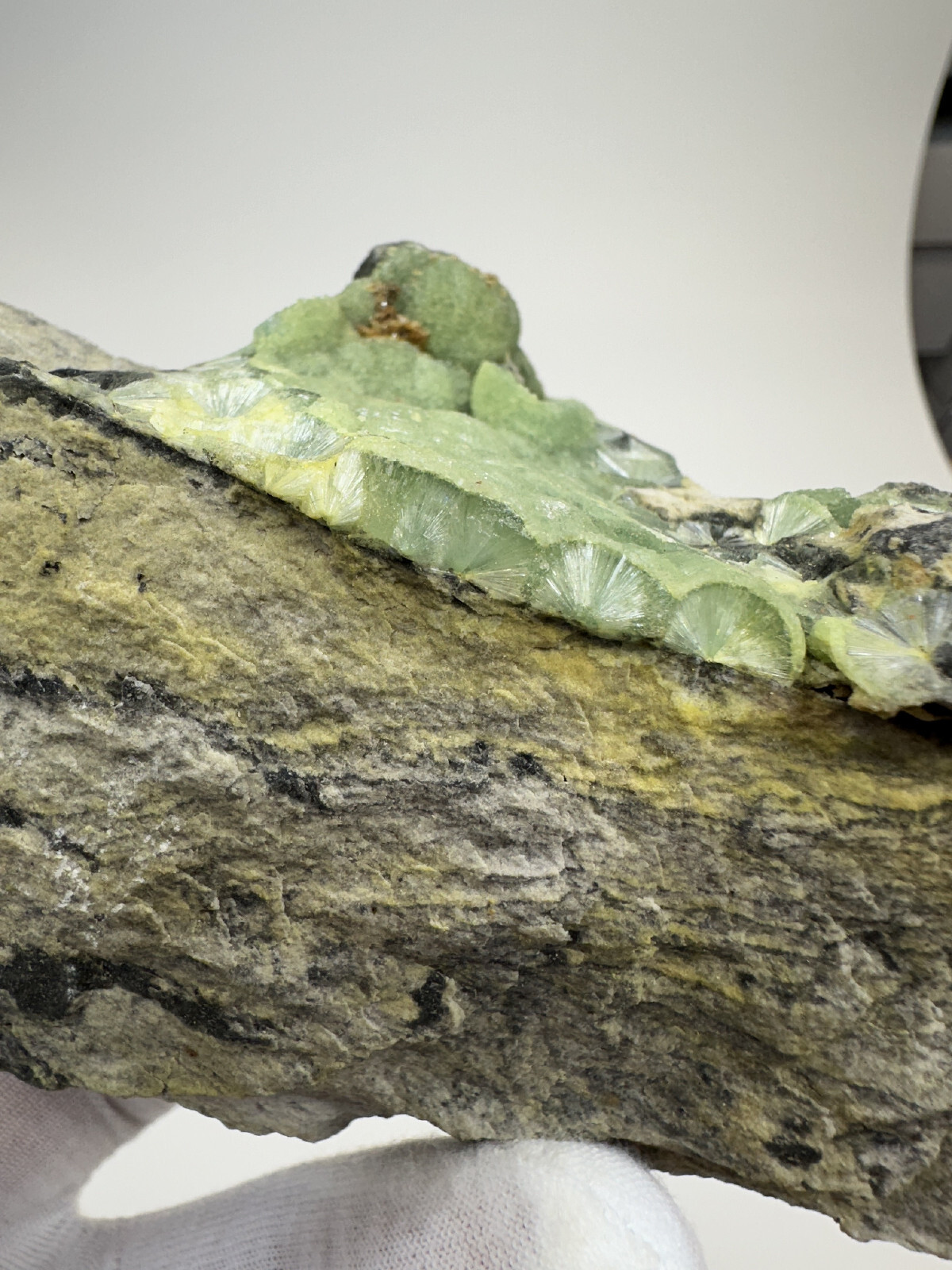 Beautiful RARE GREEN / BLACK Wavellite Specimen from Arkansas