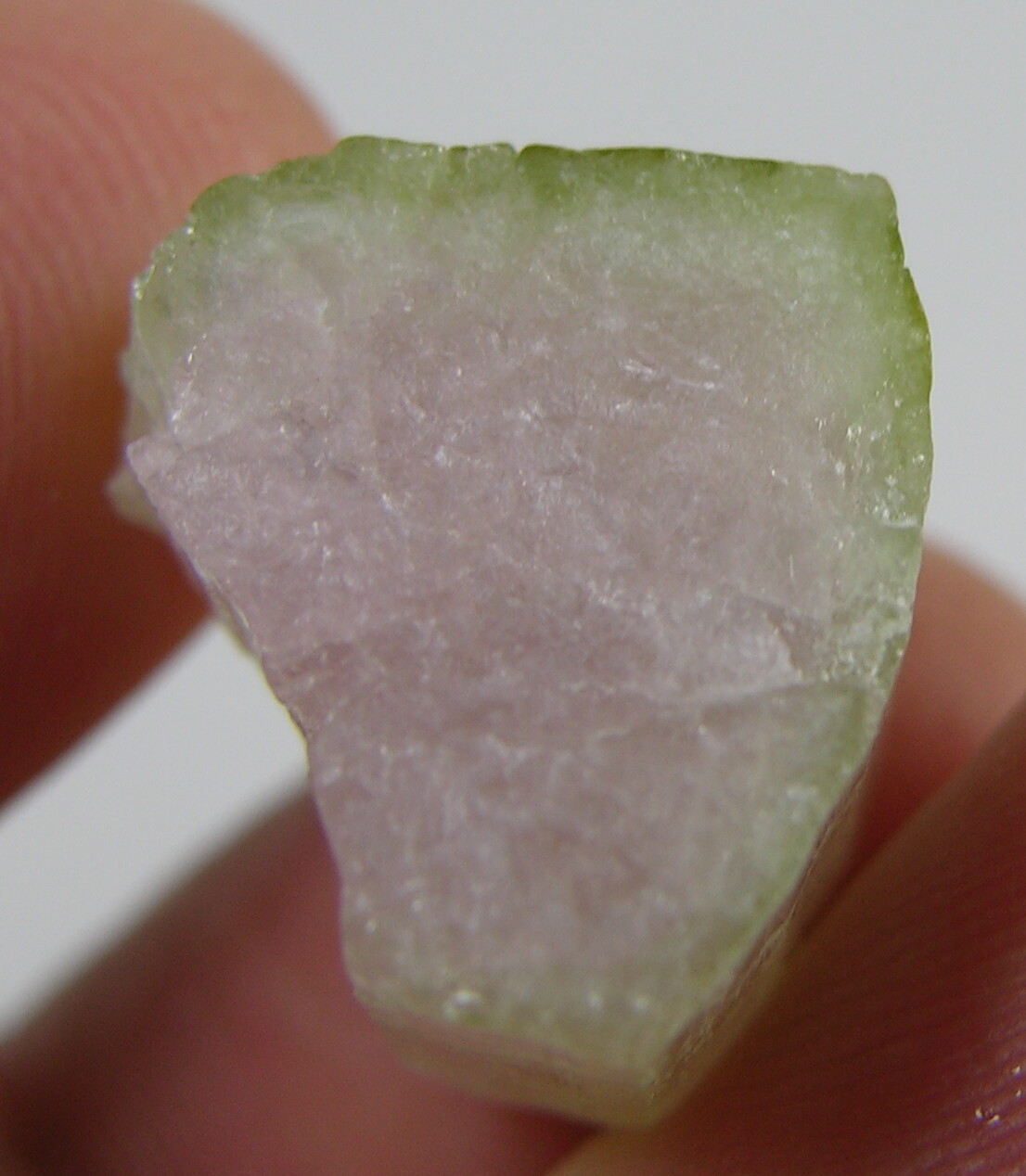 28.10ct Brazil 100% Natural Bi-Color Tourmaline Crystal Specimen 5.60g 16.00mm