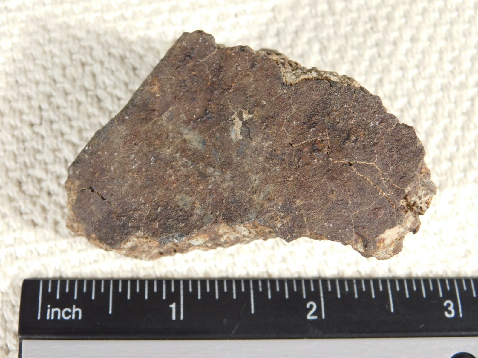 Classified NWA 8245 METEORITE 100% Natural FELL on Erfoud, Morocco 114gr