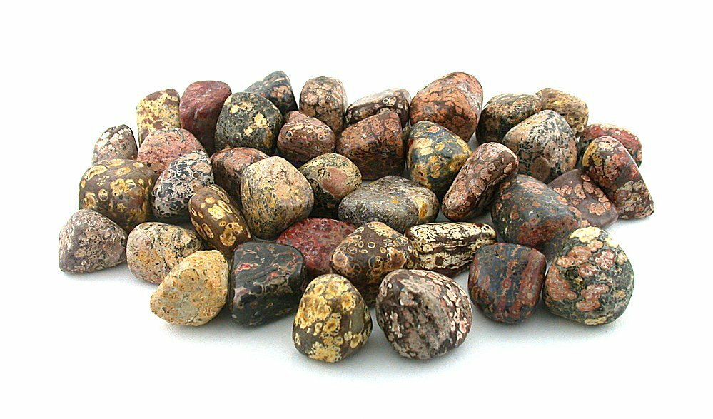 1/2 Pound Leopardskin Jasper Tumble Polish Polished 1/2 To 9/10 Inch Gem T12