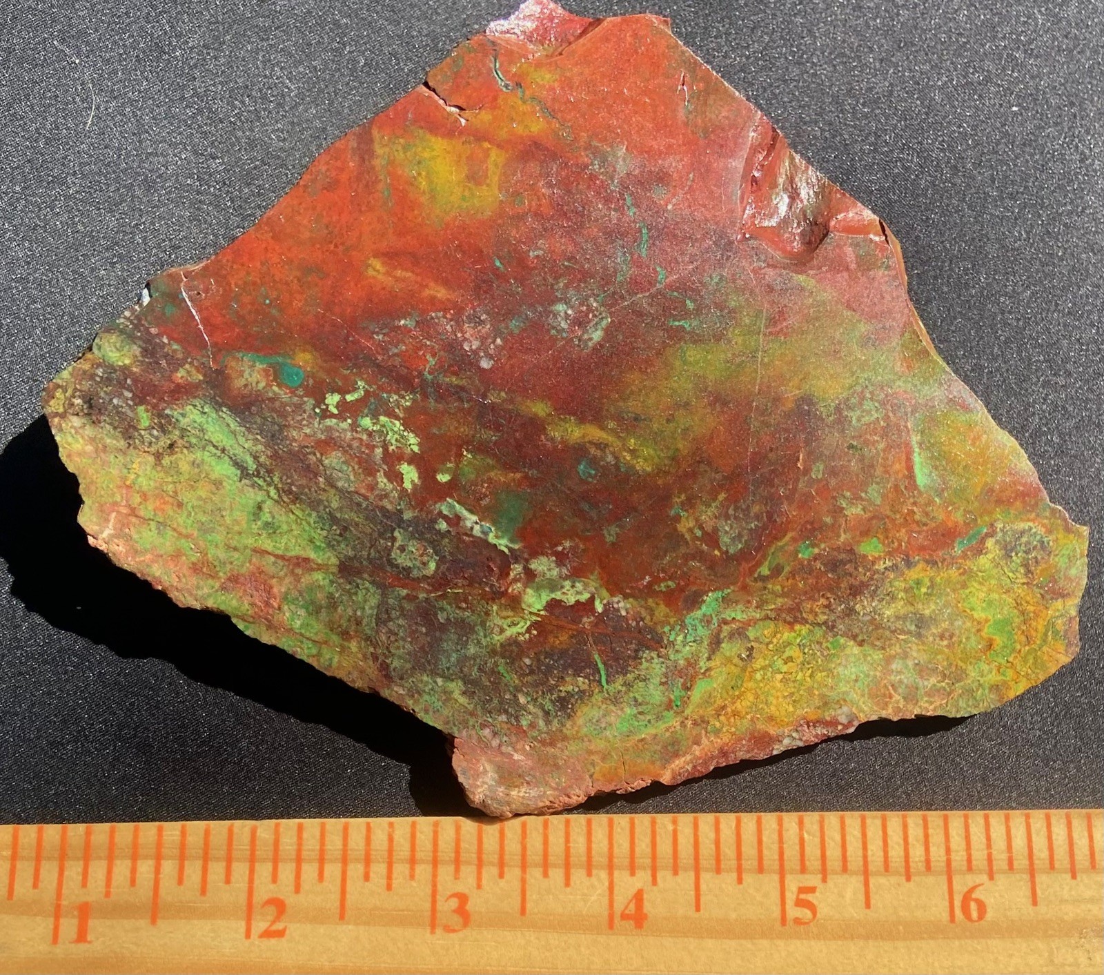 Parrot Wing Chrysocolla Colorful AA Big Slab Untreated No Cracks 212 Gram 7.5 Oz