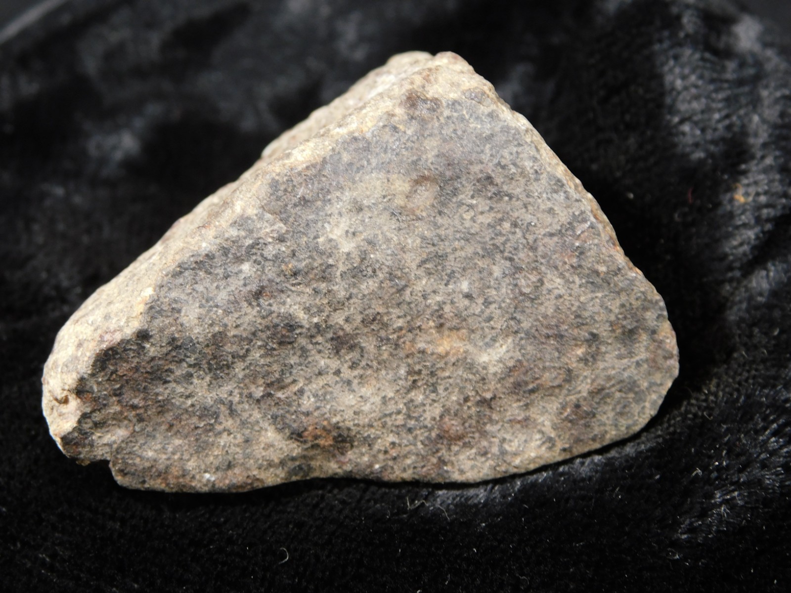 Classified NWA 8245 METEORITE Spots of Dark Fusion Crust! Erfoud, Morocco 74.5gr