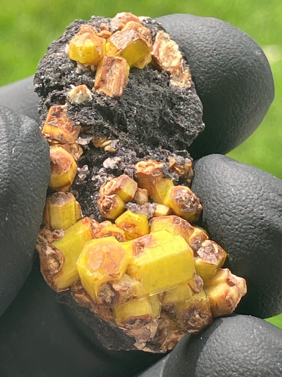 Rare Ettringite bright lemon yellow crystsls Famous N’Chwaning II Mine S. Africa