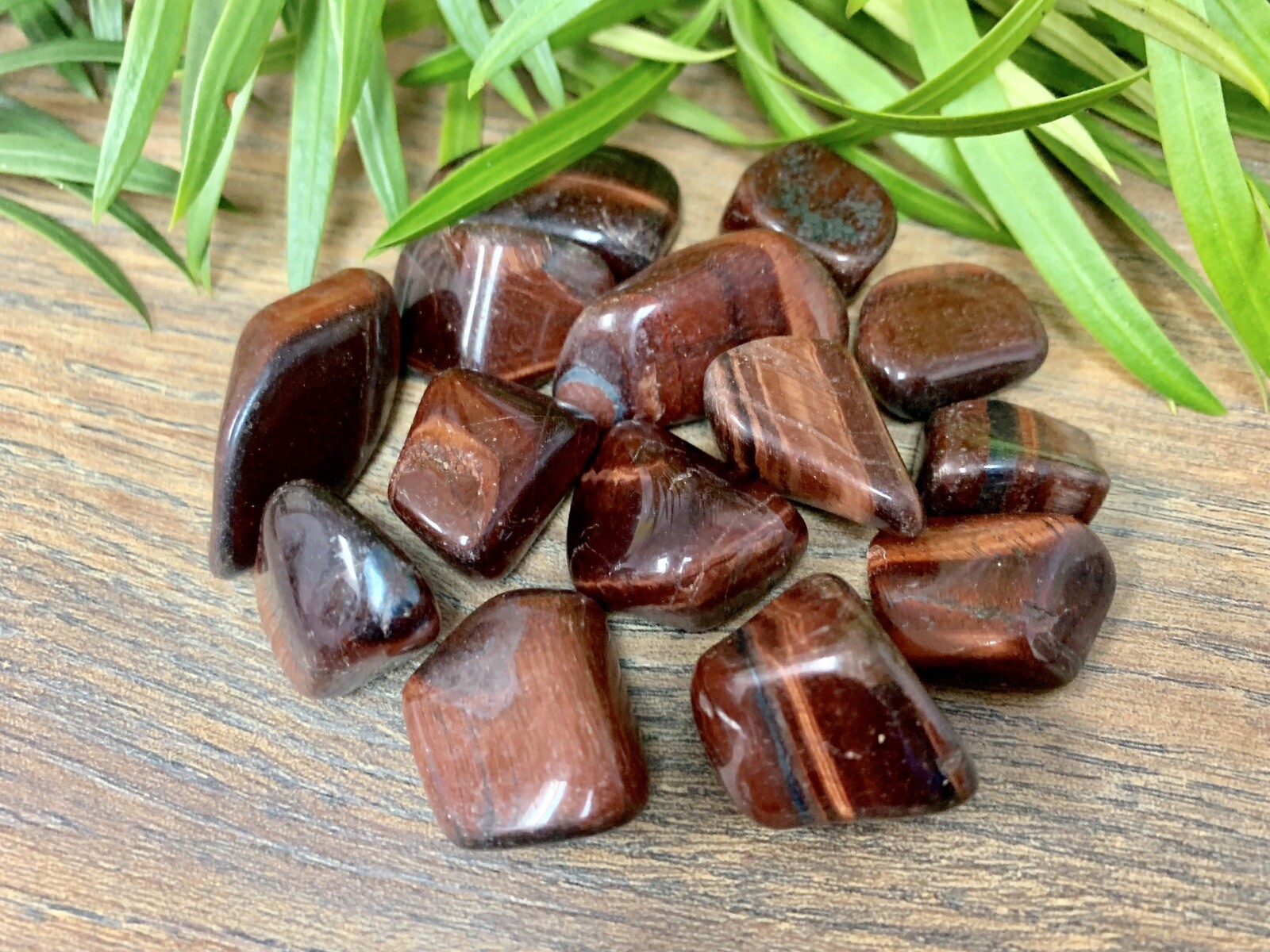 1/2 lb Red Tiger Iron Tumbled Stones Crystal Therapy Gemstone Specimen Reiki.