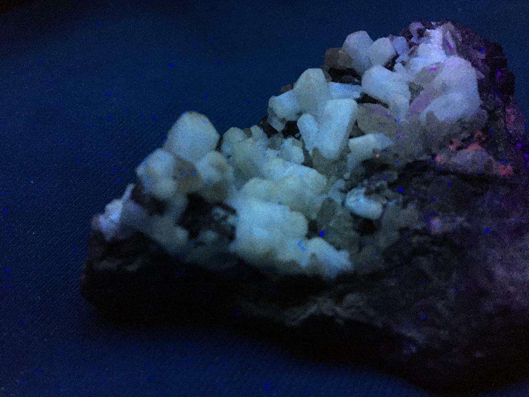 KB: BRIGHT SW FL. WHITE/CREAM TARNOWIZITE XLS. FROM TOUISSIT, MOROCCO