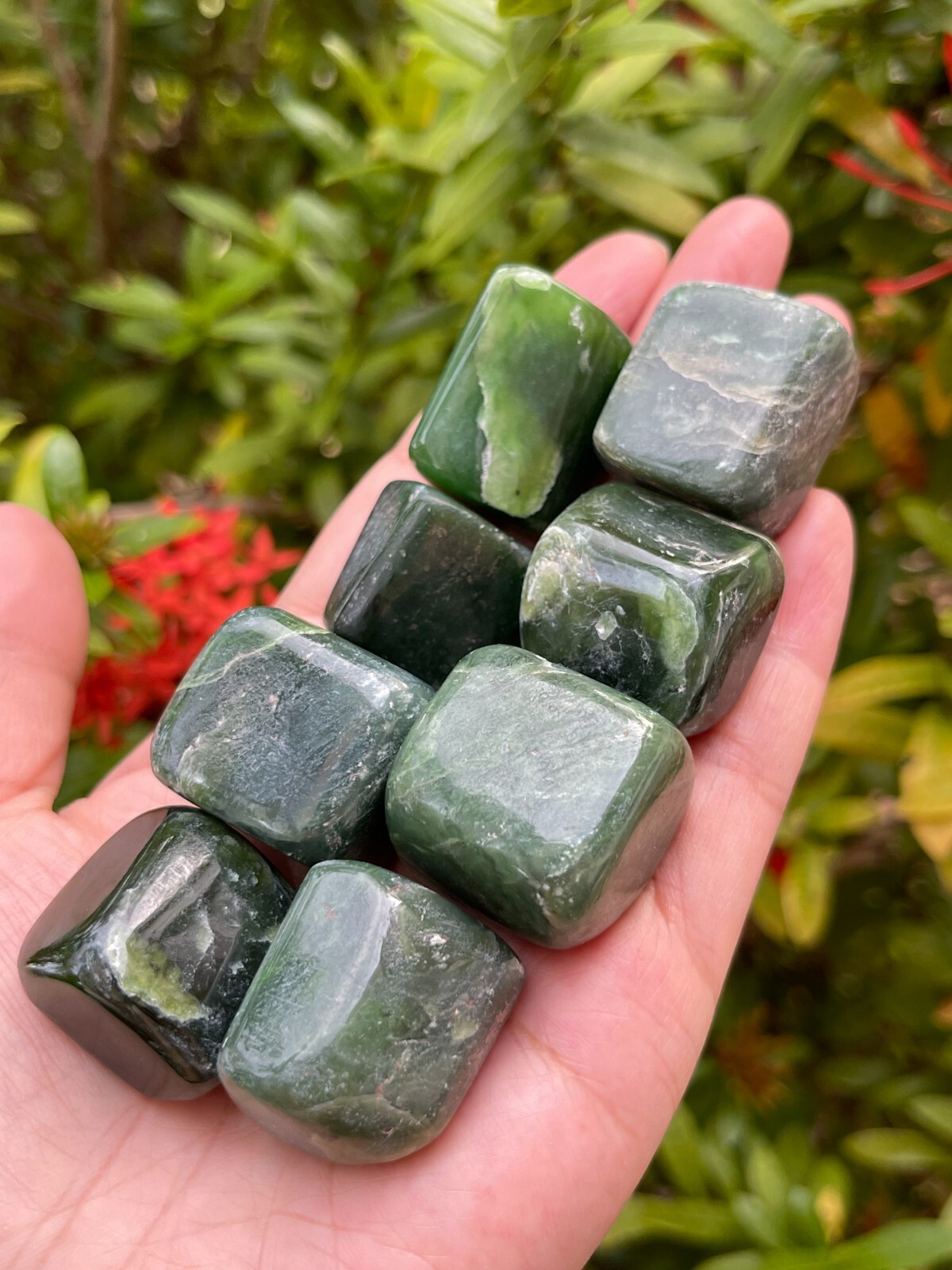 Nephrite Jade Tumbled Stones, 1-1.5 Inch Nephrite Jade Crystals, Healing Crystal