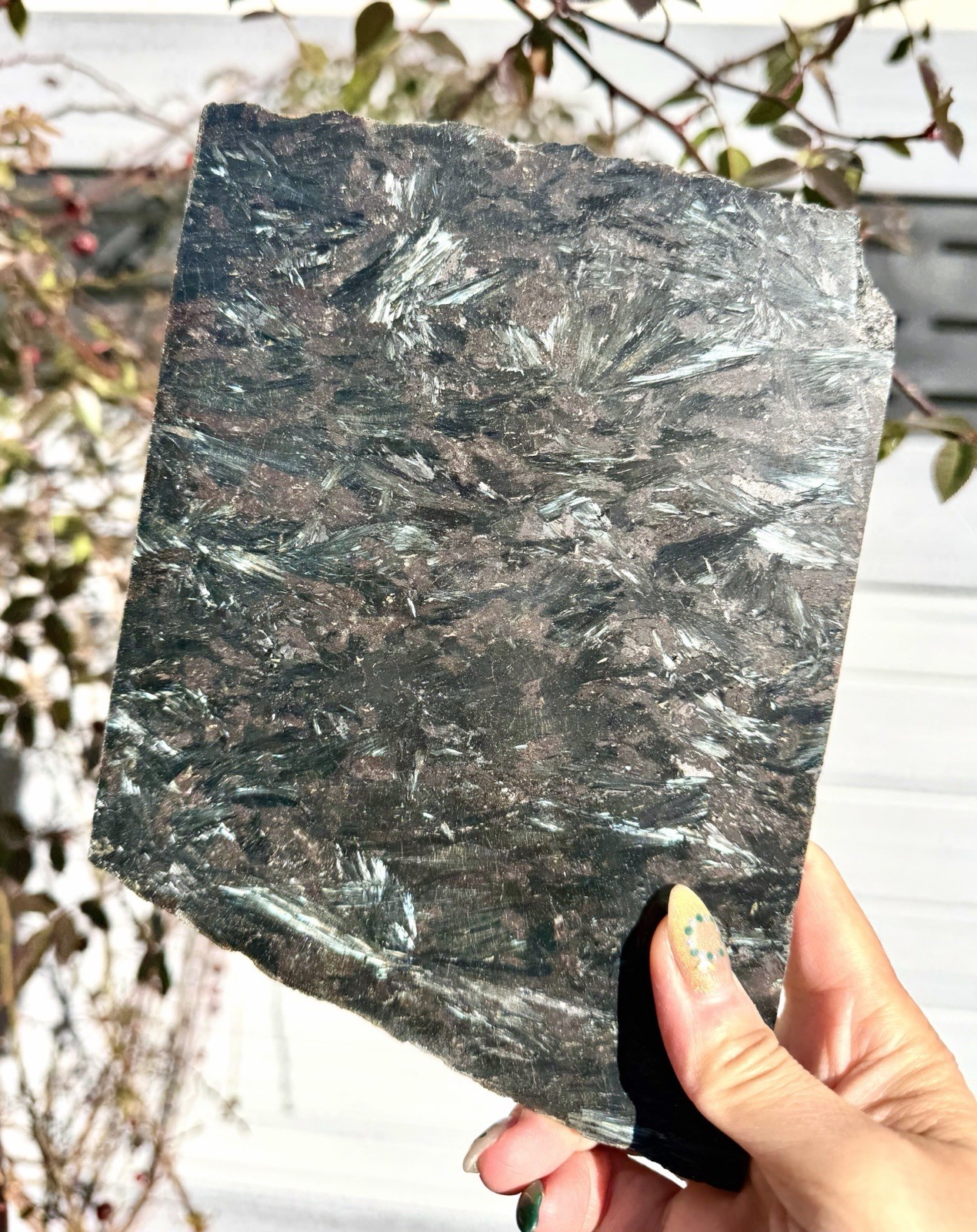 Wholesale Lot 6 Lbs Natural Astrophyllite/ Arfvedsonite Polished Slab Crystal