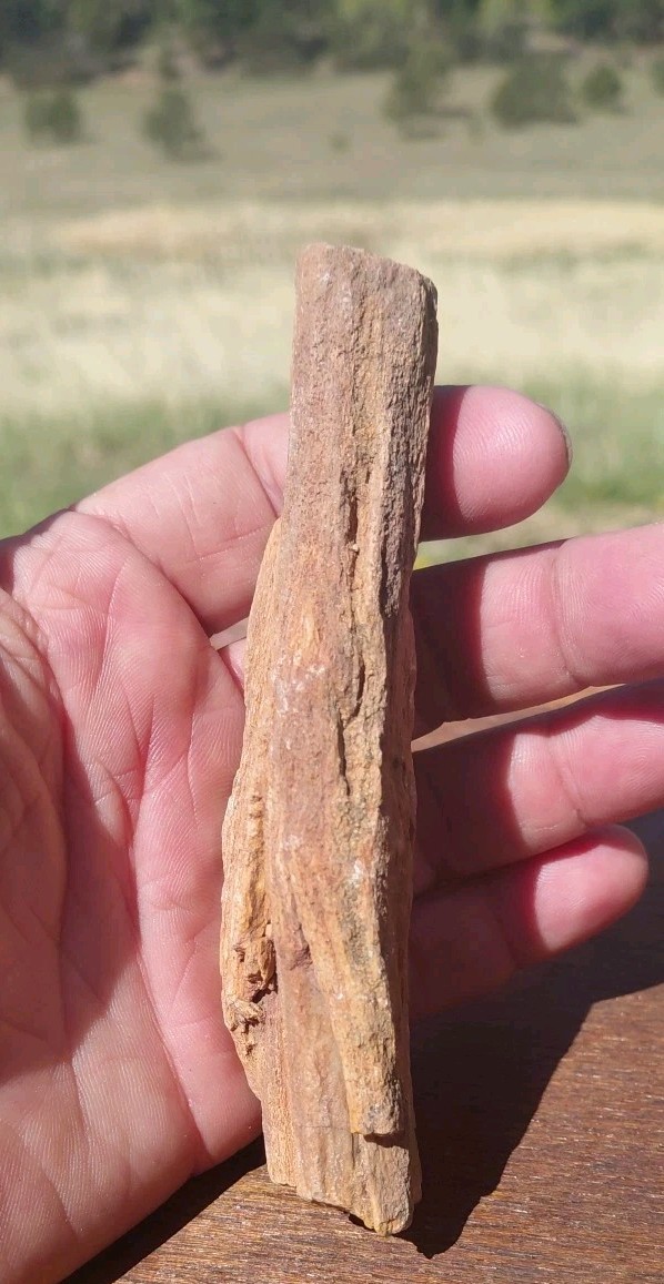 Petrified Wood Fossilized Twisted Branch Bark Druzy Quartz 1/4Lb – 4 1/2″×1 1/4″