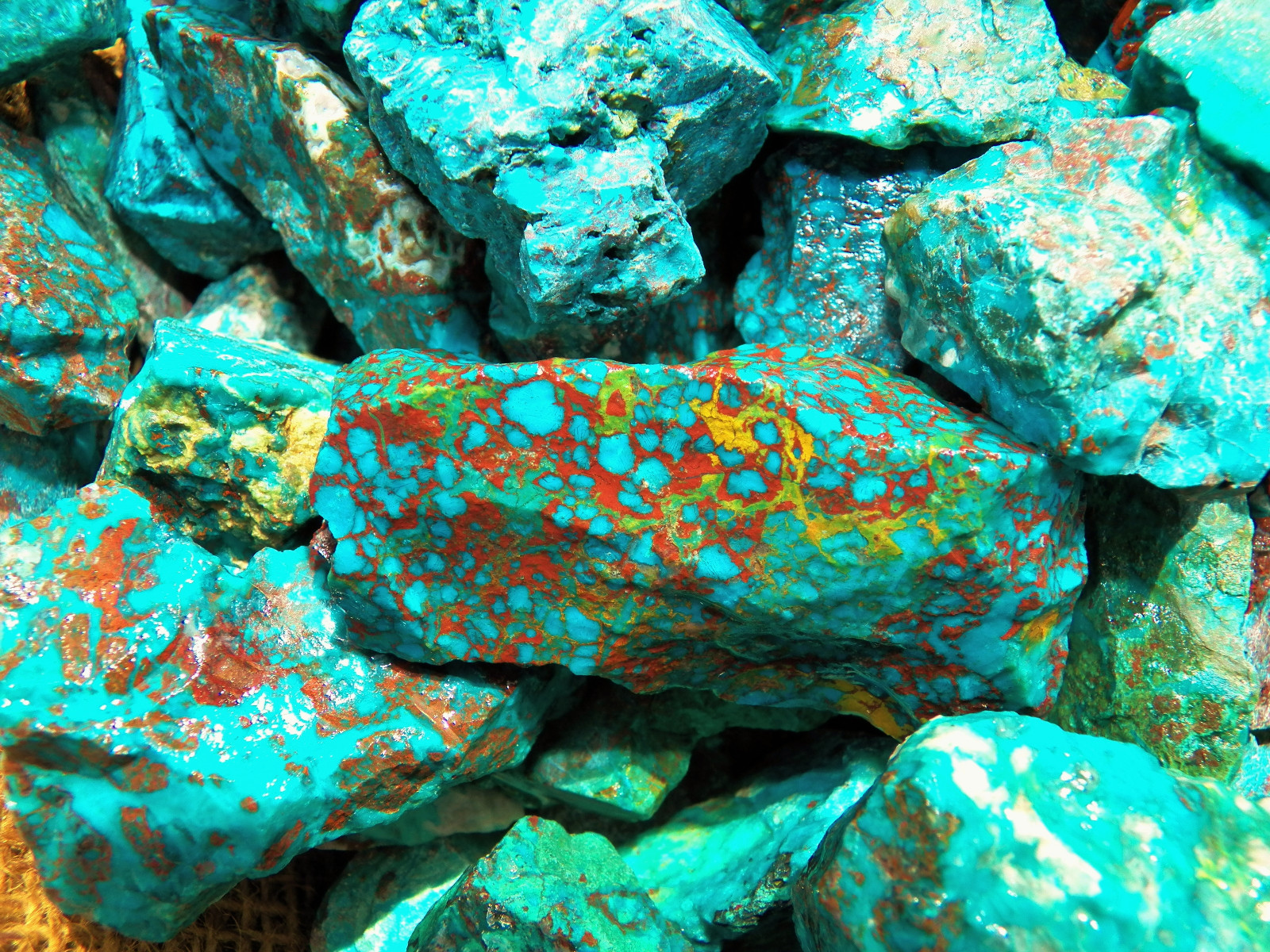 3000 Carat Lots of Chrysocolla & Turquoise Rough – Plus a FREE Faceted Gemstone