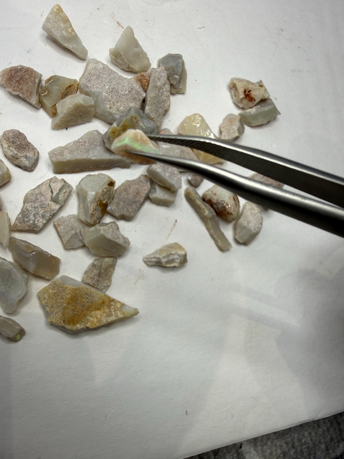 Lot Of Natural Australian Opals Multicolor Flash 26g Total With Plastic Case