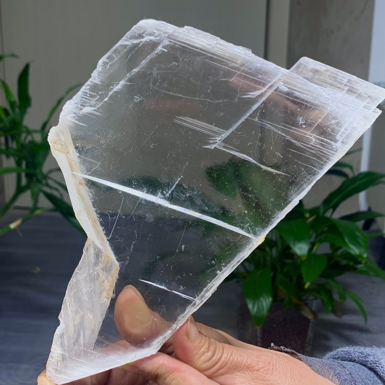 494G Natural selenite gypsum quartz crystal slab mineral specimen healin