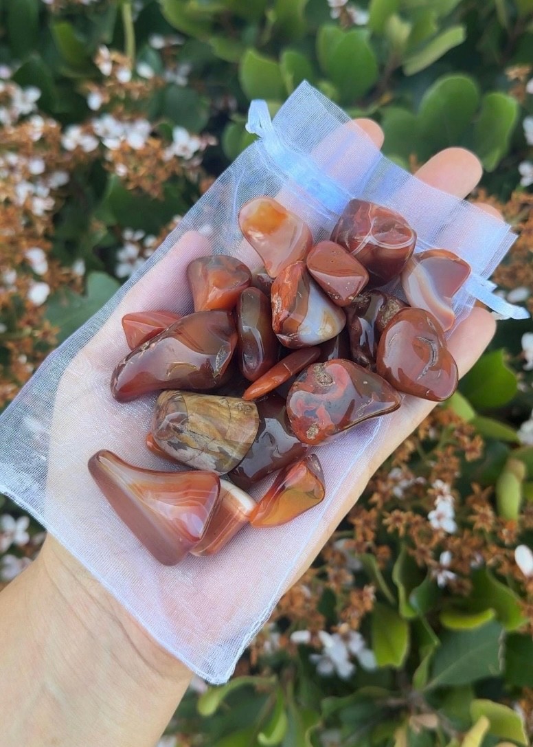 Bulk Wholesale Lot 1/2 Pound Tumble Crystals – Mixed, Carnelian, Tigers eye, ETC
