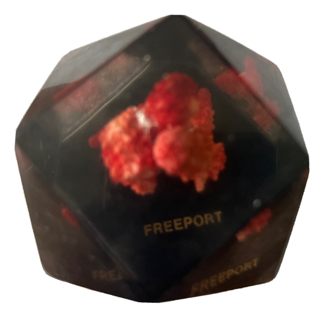Vtg Lucite Resin 3D Hexagon W/ Red Coral ocean Art Paperweight Decor. Freeport