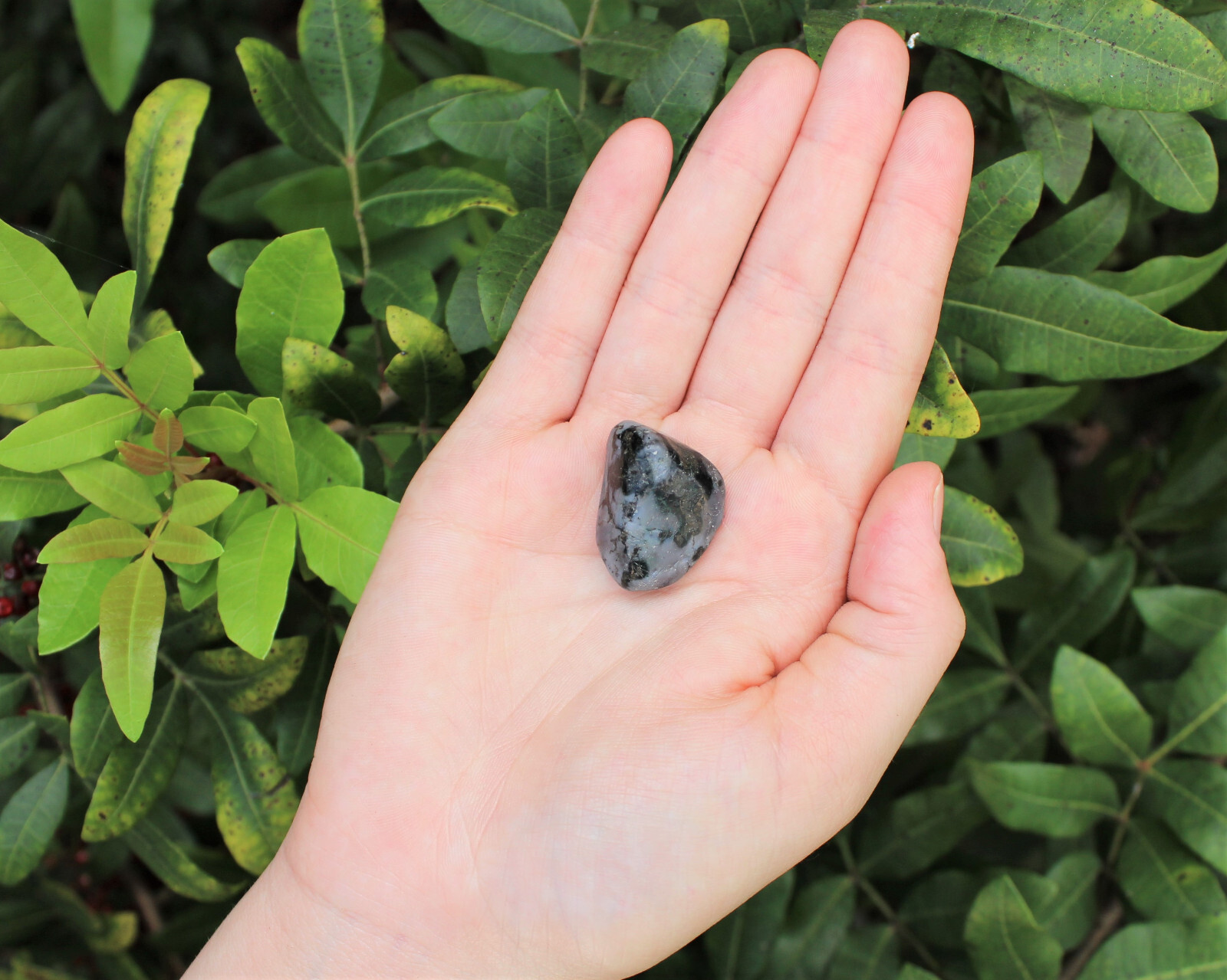 Indigo Gabbro Tumbled Stones – Choose How Many (Mystic Merlinite Crystals)