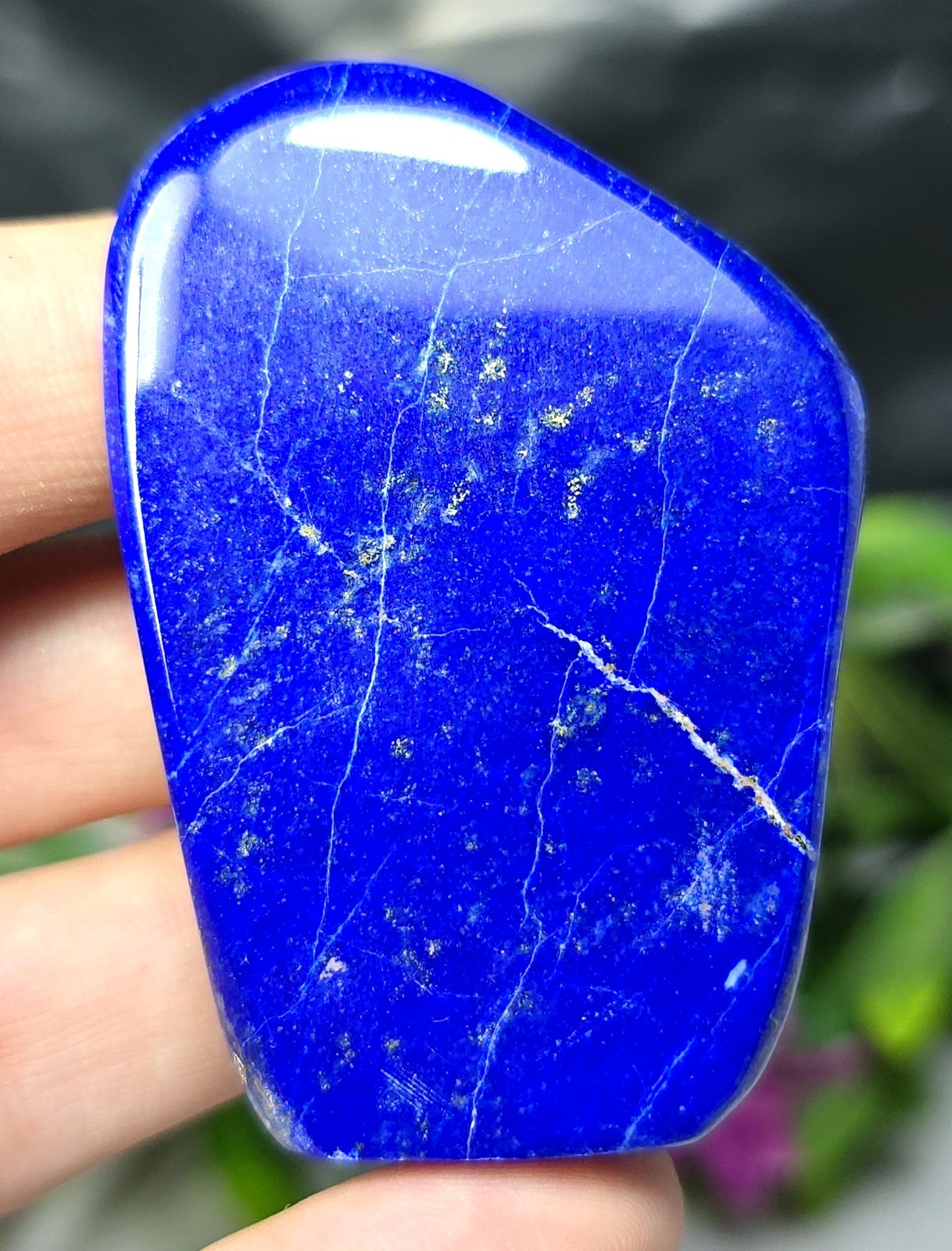 Rare AAA Lapis Lazuli Freeform Polished Stone Deep Blue Crystal Display