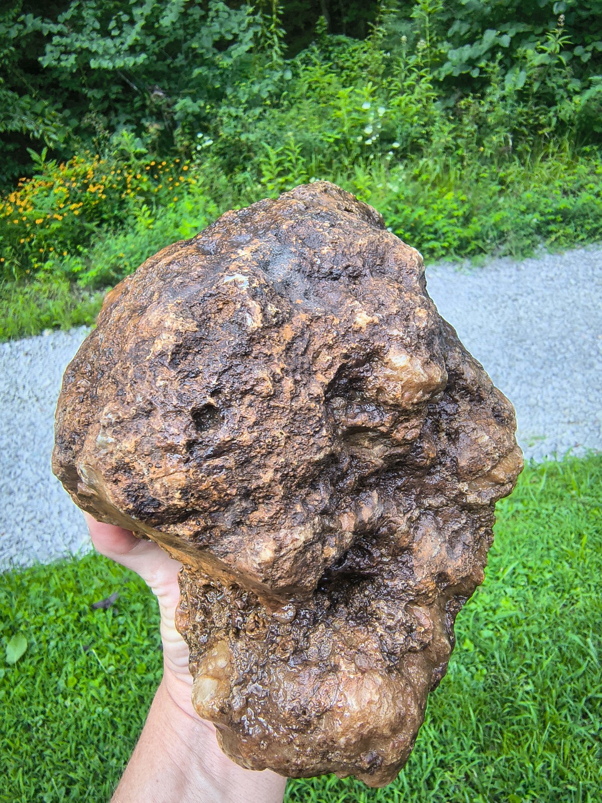 7.06 lb Kentucky Geode Unopened Large Natural Crystal Geode 8″ Feels Hollow