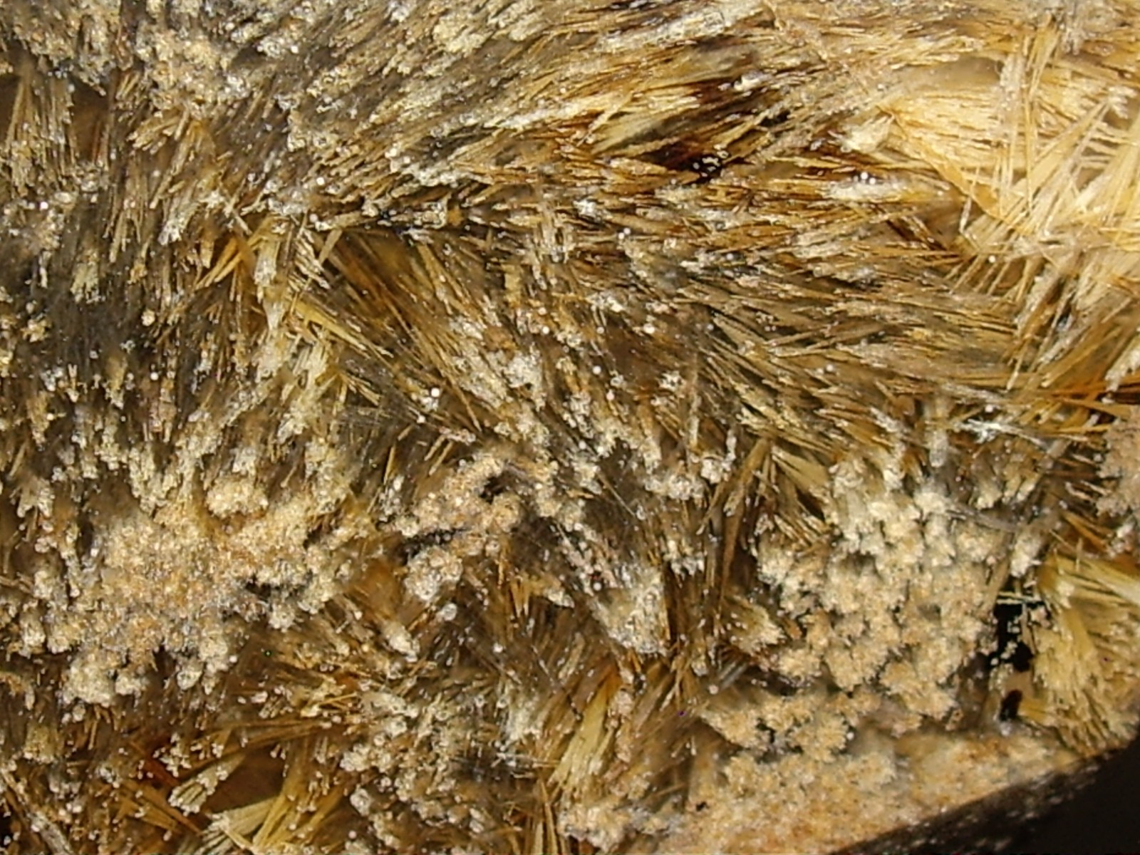 Fantastic Sagenite Agate Polished Freeform w/ Unknown Fibrous Inclusions 144.6g