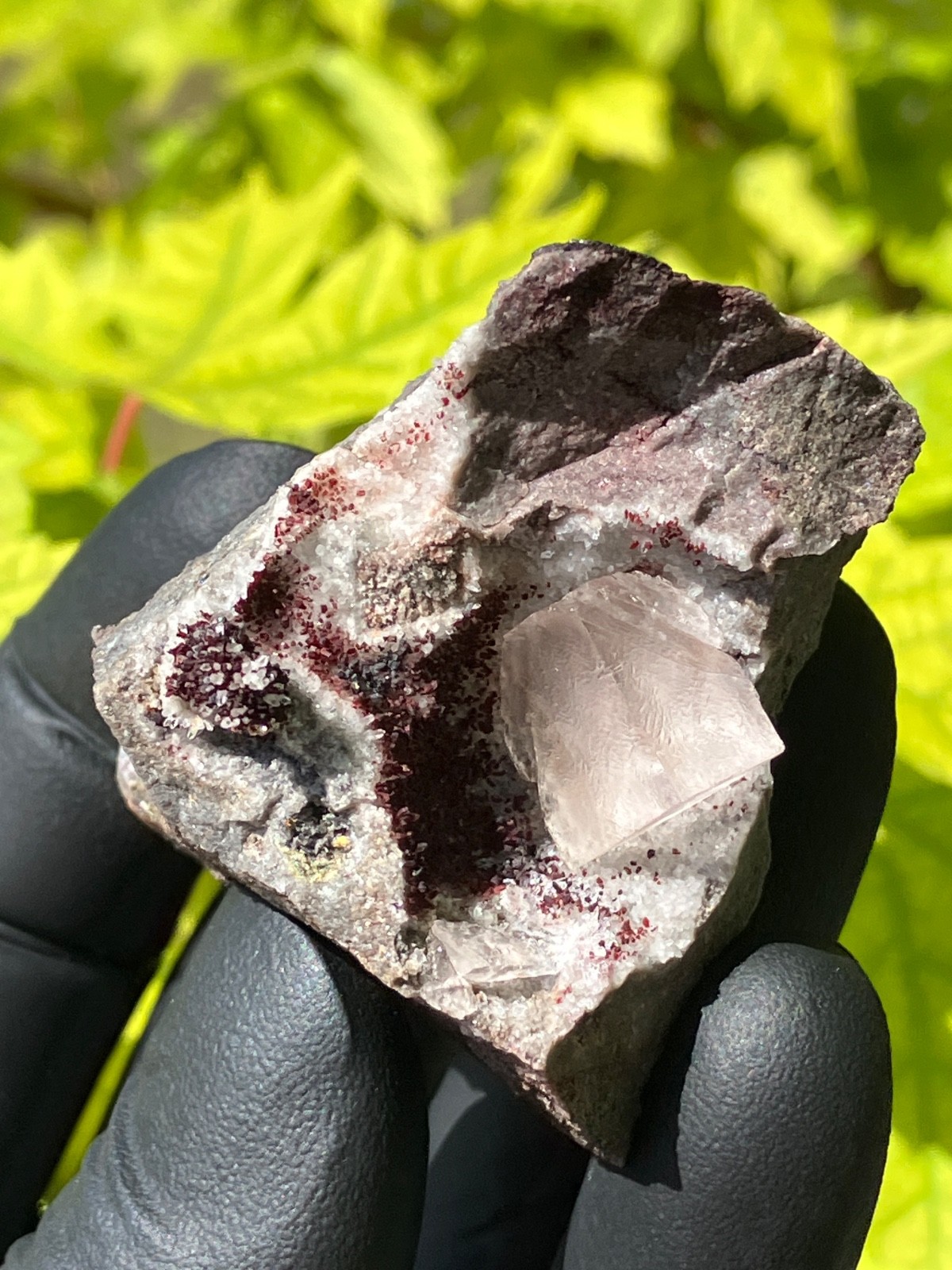 Fluorite “Red Pocket” 2007-2008 “Rare” U.V. Ojuela Mine, Mapimi, Durango, Mexico