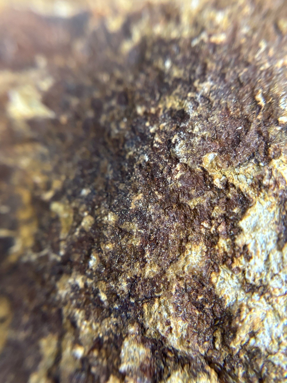5 lb CALIFORNIA GOLD ORE “SMALLS” Mined from California’s Historic gold region.