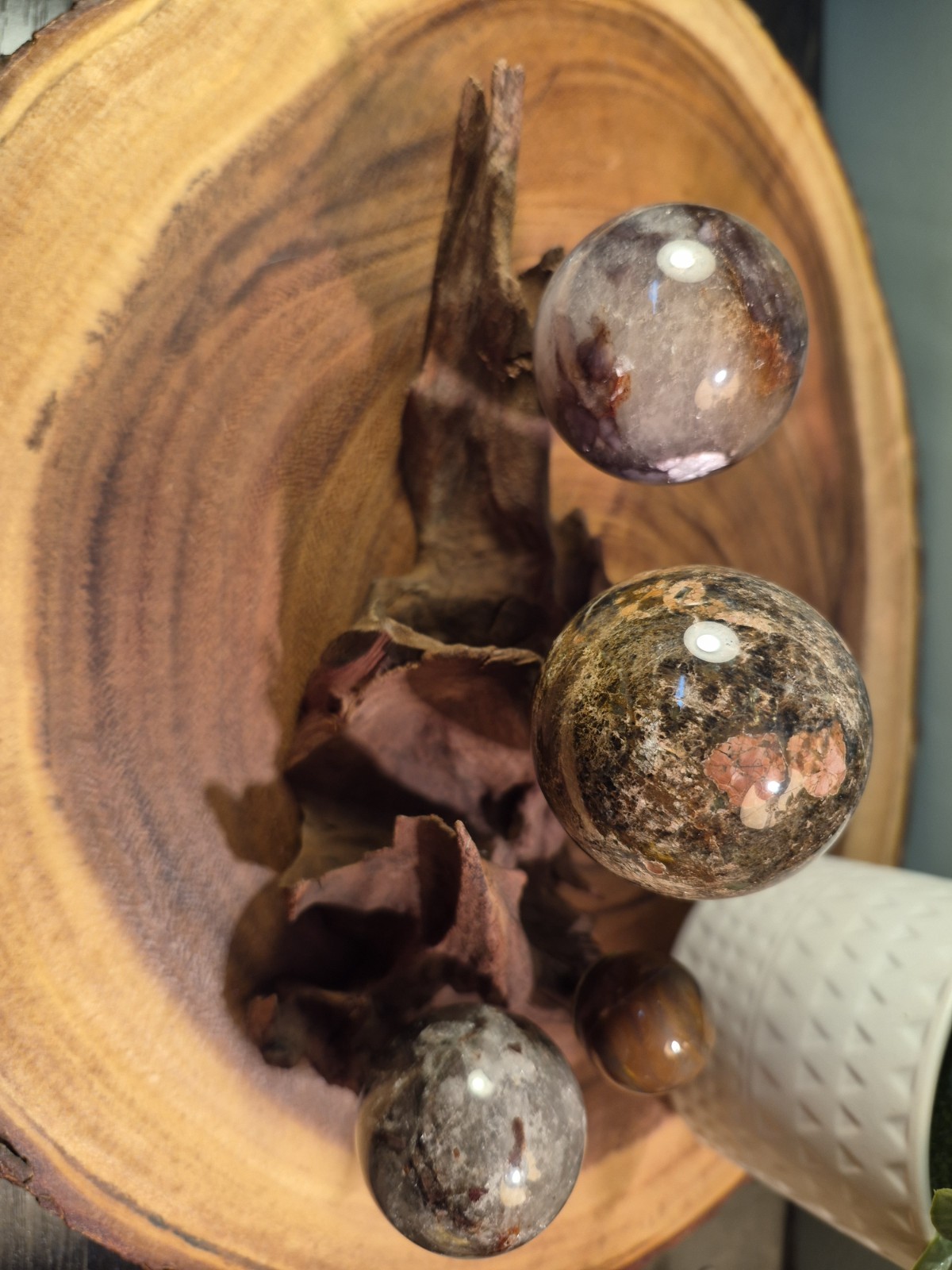 Drift Wood Sphere Holder XS – MED 4 Spheres