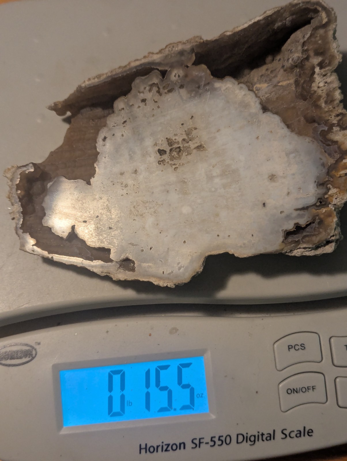 Big Fluorescent Bubbly Fossilized Agatized Coral Botryoidal Crystal Geode FL