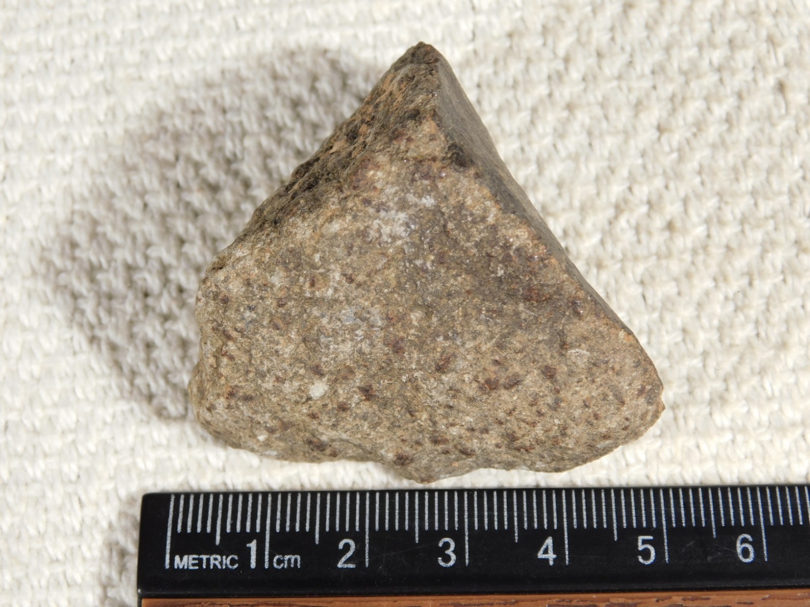 Classified NWA 8245 METEORITE Spots of Dark Fusion Crust! Erfoud, Morocco 74.5gr