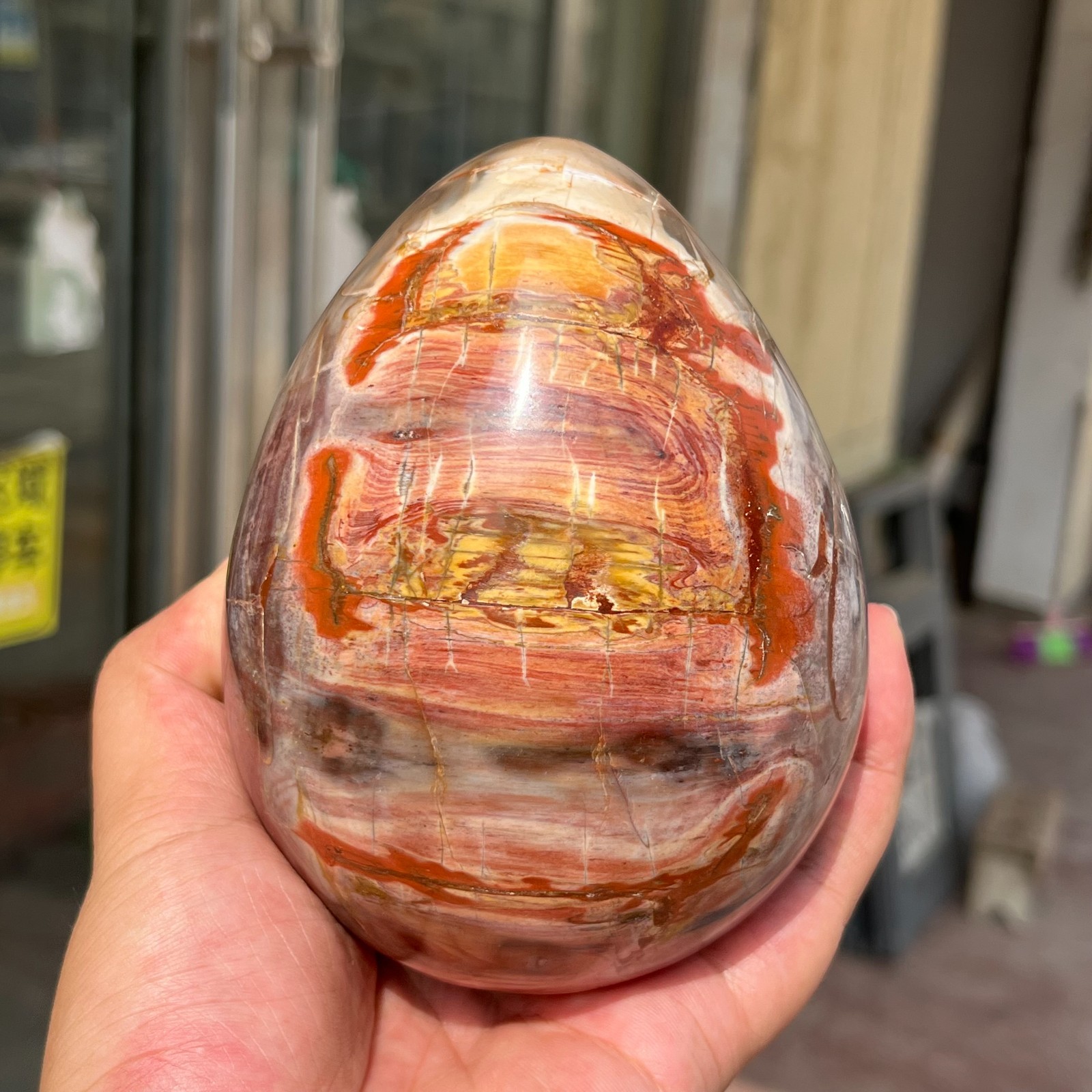 3.28LB Large Amazing Natural Petrified Wood Fossil Stone Egg Crystal Healing