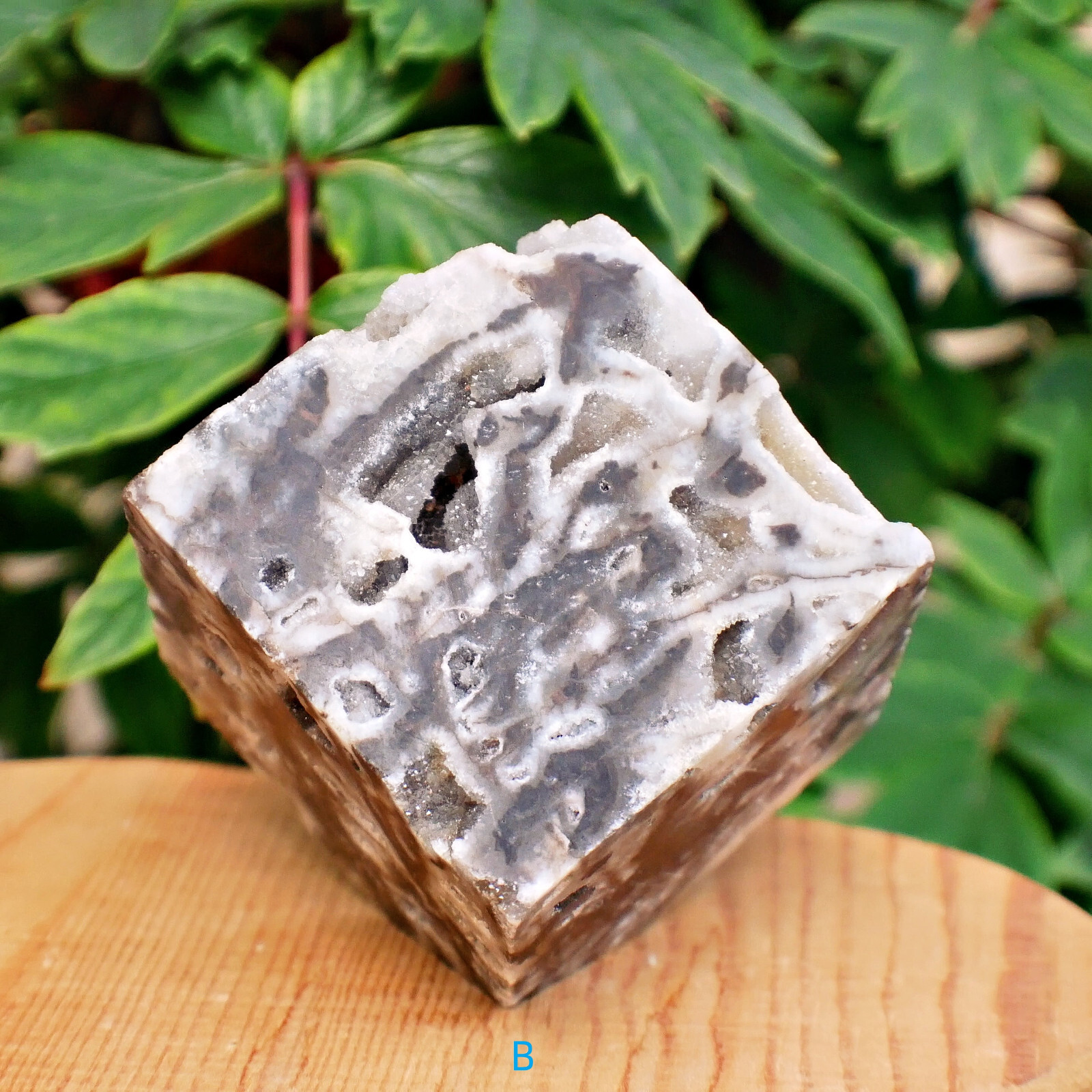 2″ Sphalerite Druzy Geode Cube Crystal Healing Gemstone Natural Mineral Specimen