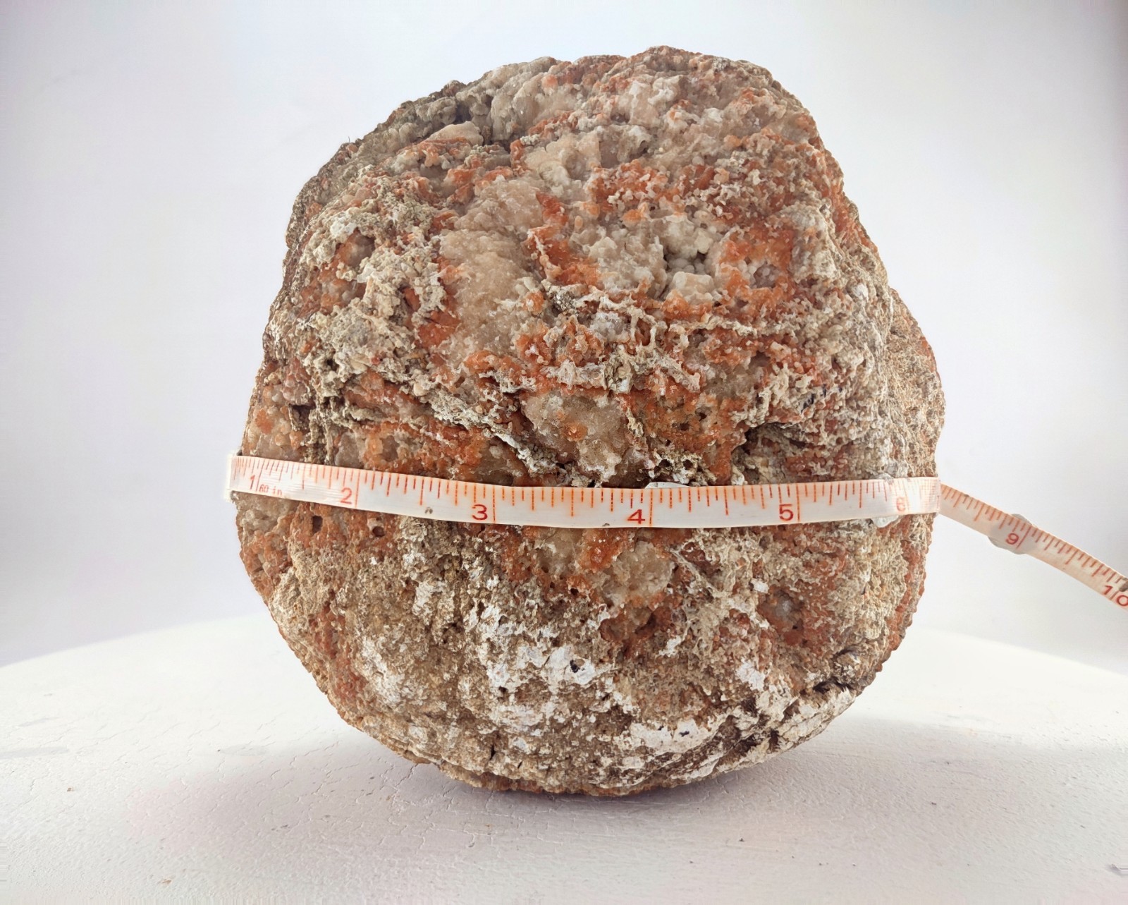 6.5″ Unopened Geode Nodule Localized Pink Exterior Kentucky Quartz Crystal 5.6LB