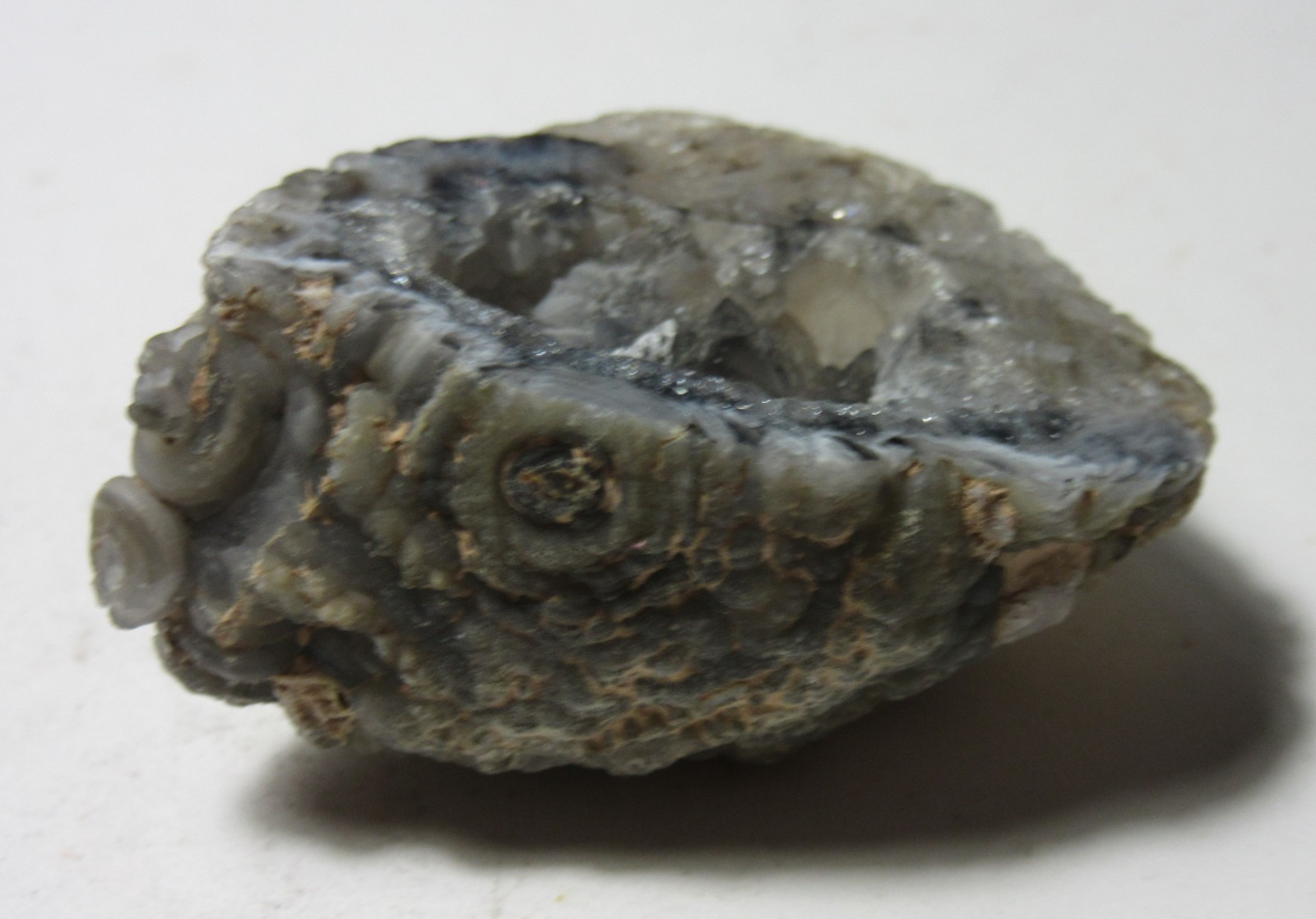 Mexican Agate 1 7/8″ Geode with Quartz Crystals Collectible AMGC-1.8
