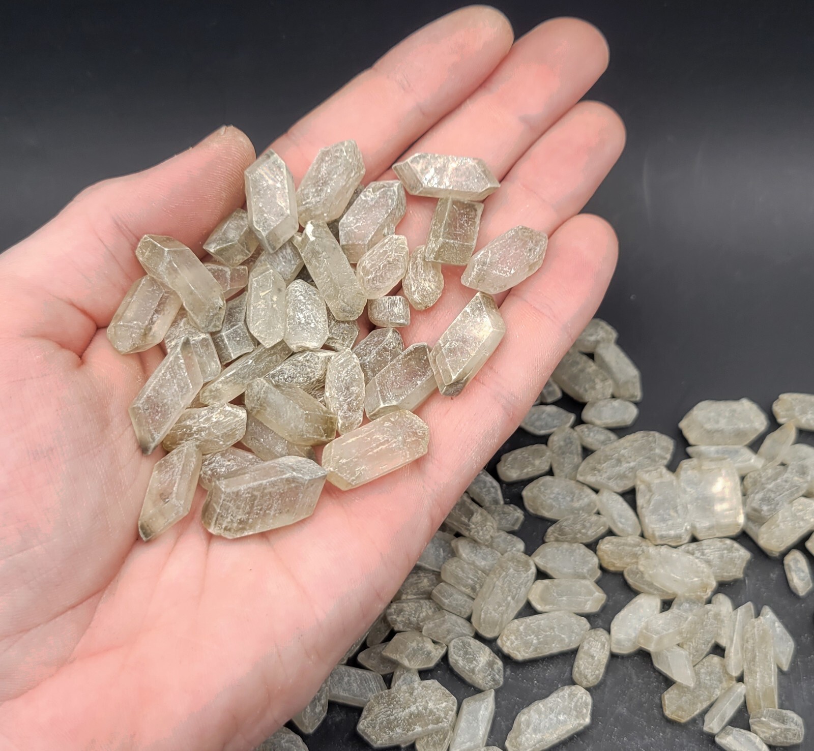 ONE Ohio Selenite Crystal 18-25 mm Natural Gypsum Crystal Ohio USA Minerals