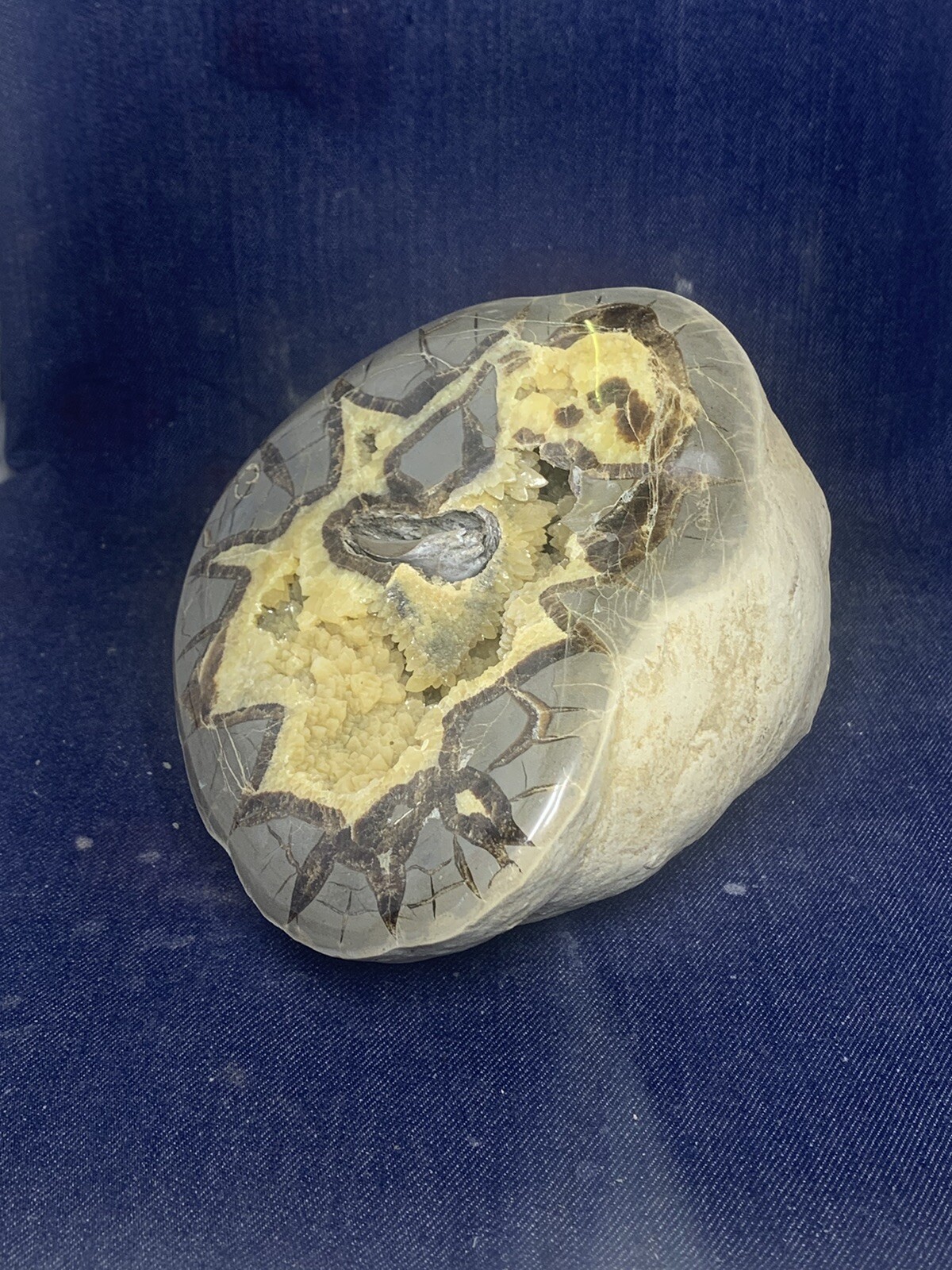 Septarian Nodule Hollow Half ( Utah)fossils And Description Card