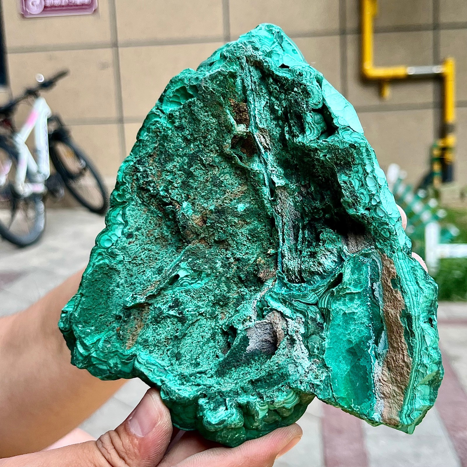 2.2 lb Eye Pattern Malachite Partially Polished Freeform Raw Back Specimen
