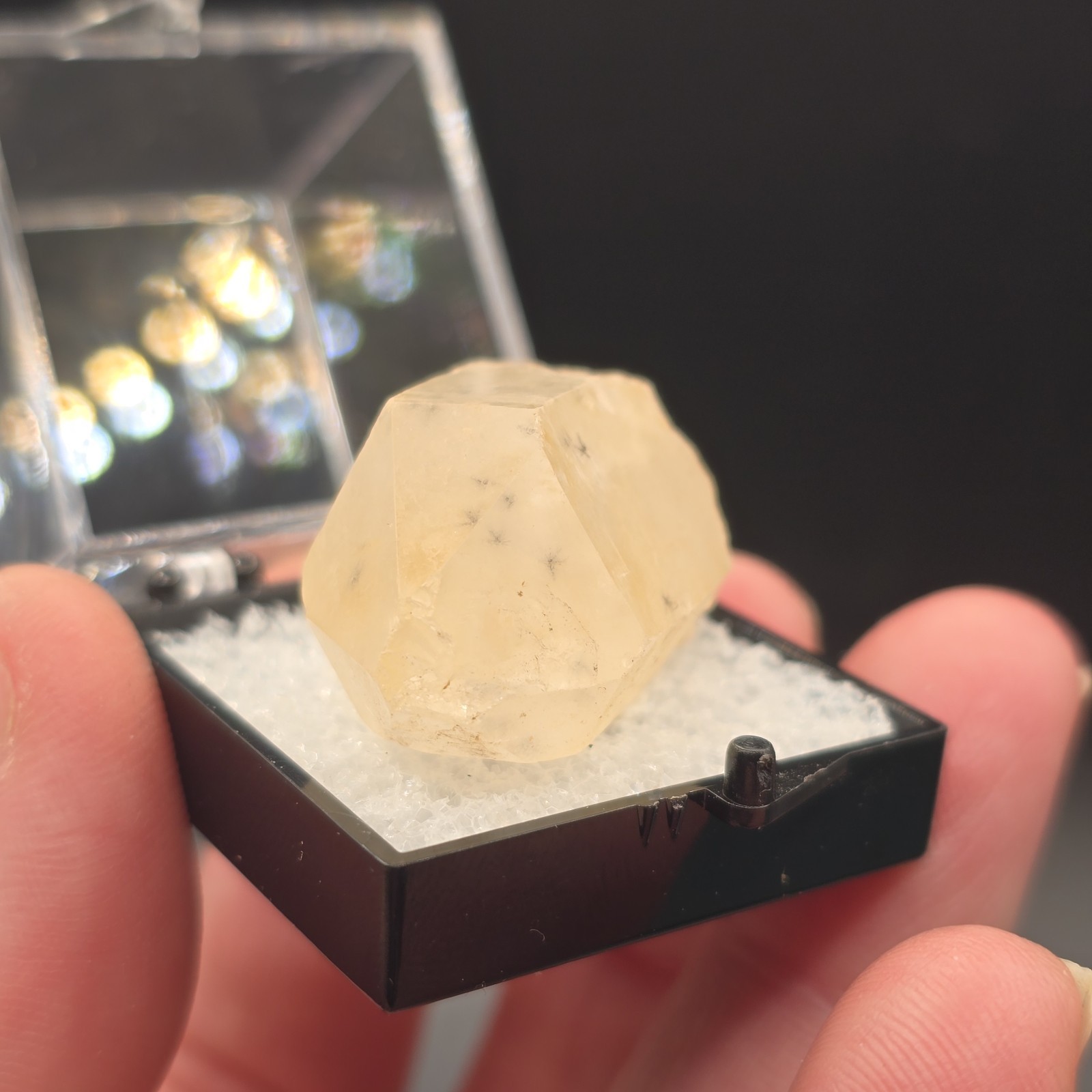 Hollandite Spider Quartz Point Crystal Madagascar Gemstone Specimen in Perky Box
