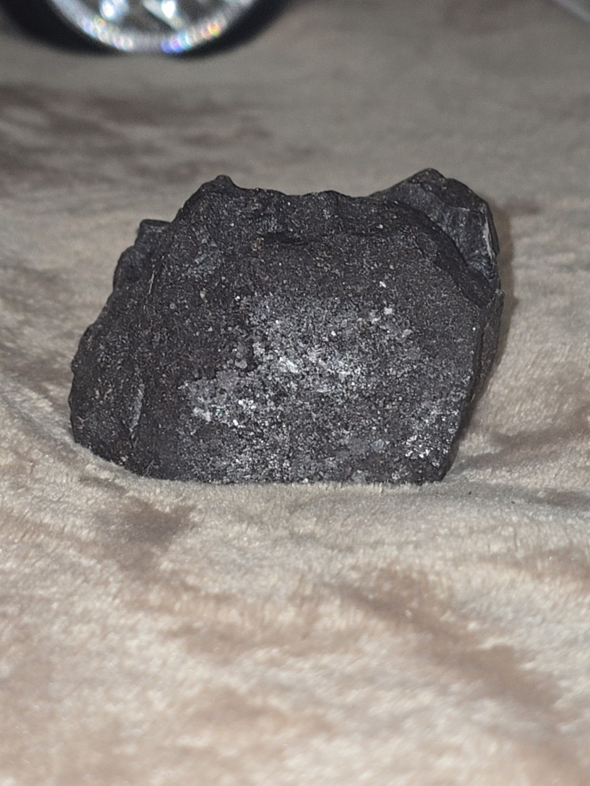 208 GRAM Murchison meteorite w/ fusion crust (CM2 carbonaceous) Australia
