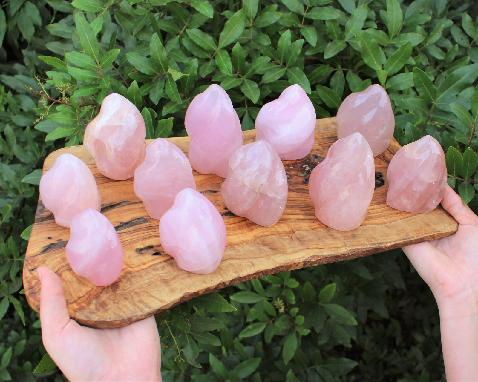 Polished Rose Quartz Crystal Flame – Natural Rose Quartz Flame Cut Base Specimen