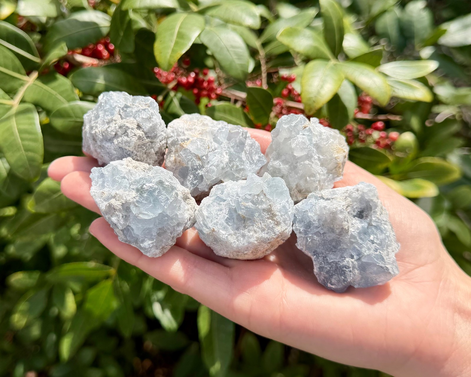 Natural Small Celestite Clusters CLEARANCE Bulk Wholesale Lots (‘B’ Grade)