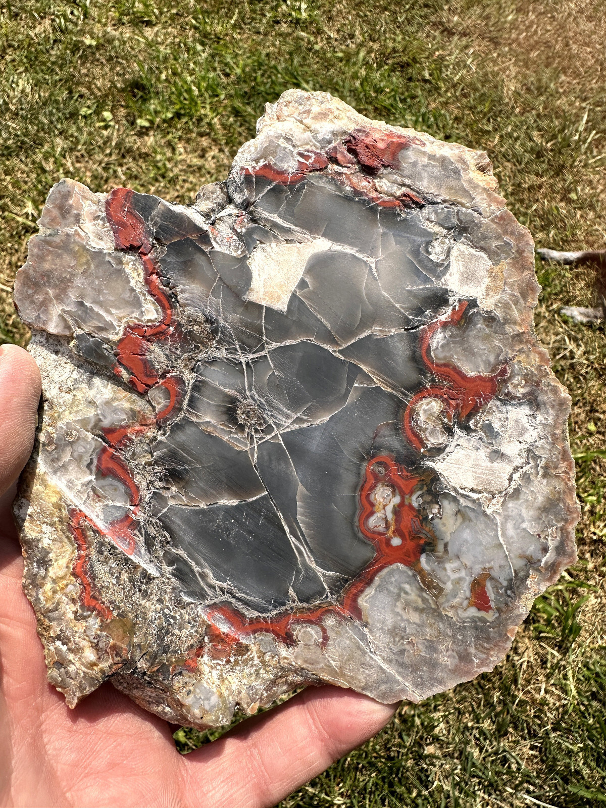 6 1/2 INCHES__Beautiful Imperial Kentucky Agate Slab from Estill County