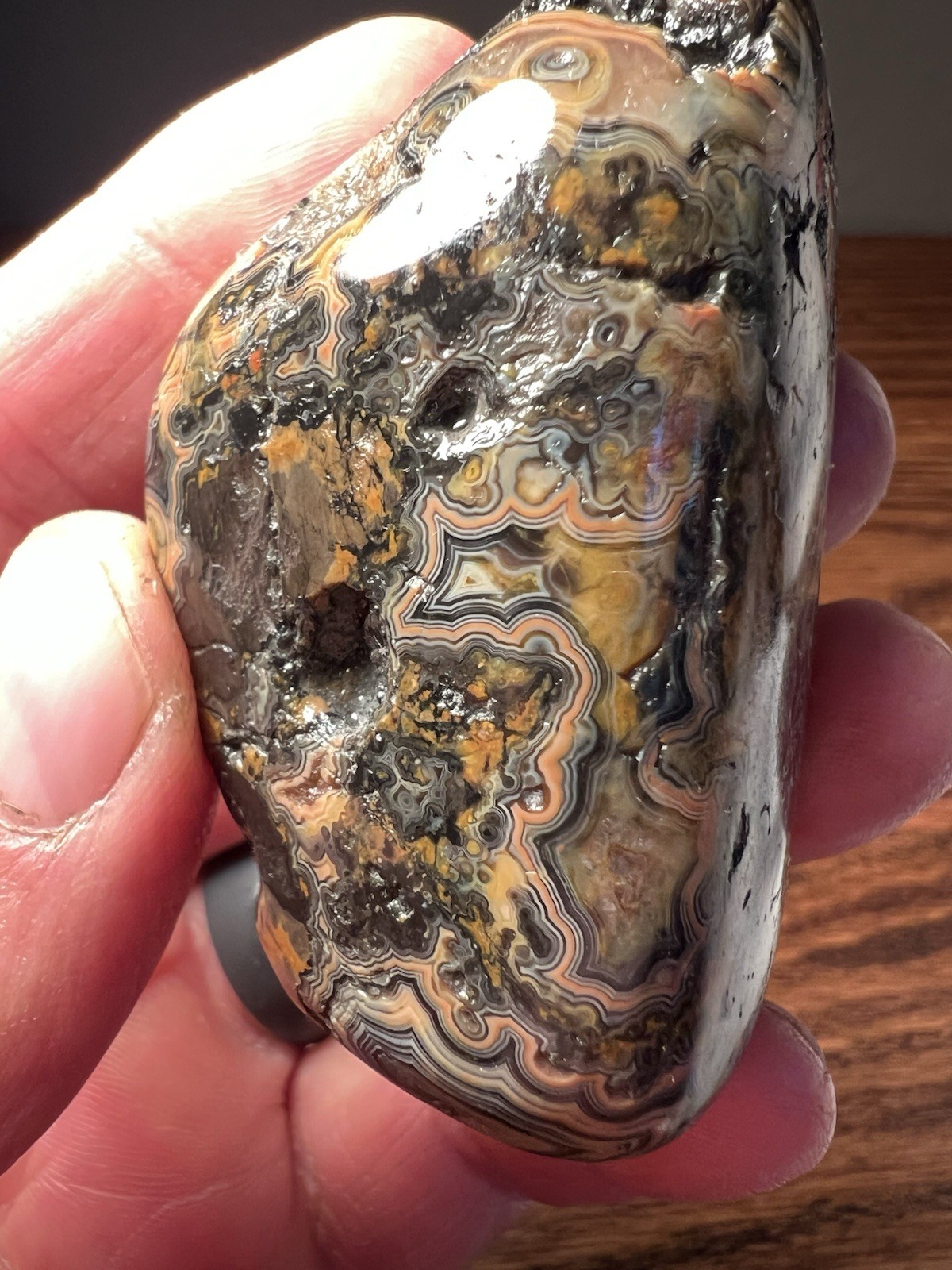 Very Nice Museum Quality Nebraska Fairburn Agate 5.25 oz 2.75×1.5×1.5”