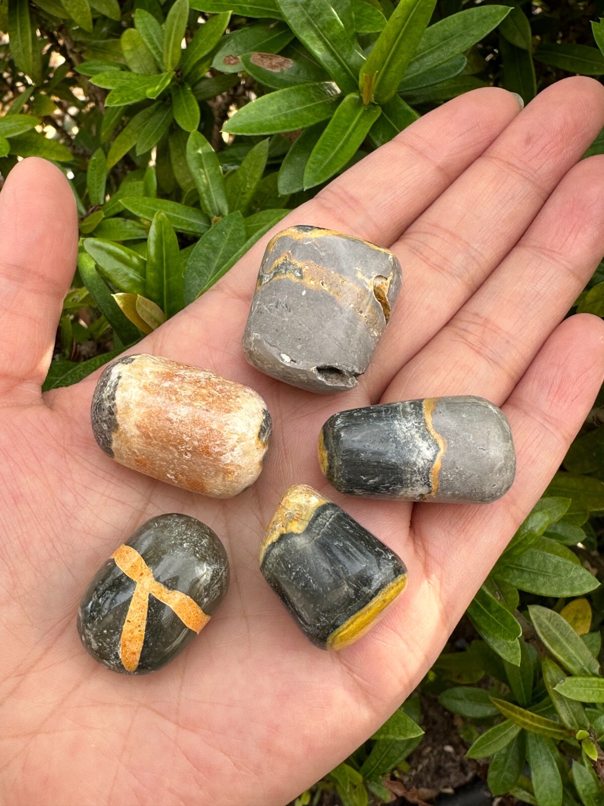 Grade A++ Bumblebee Jasper Tumbled Stones, 0.75-1.25″ Tumbled Bumblebee Jasper
