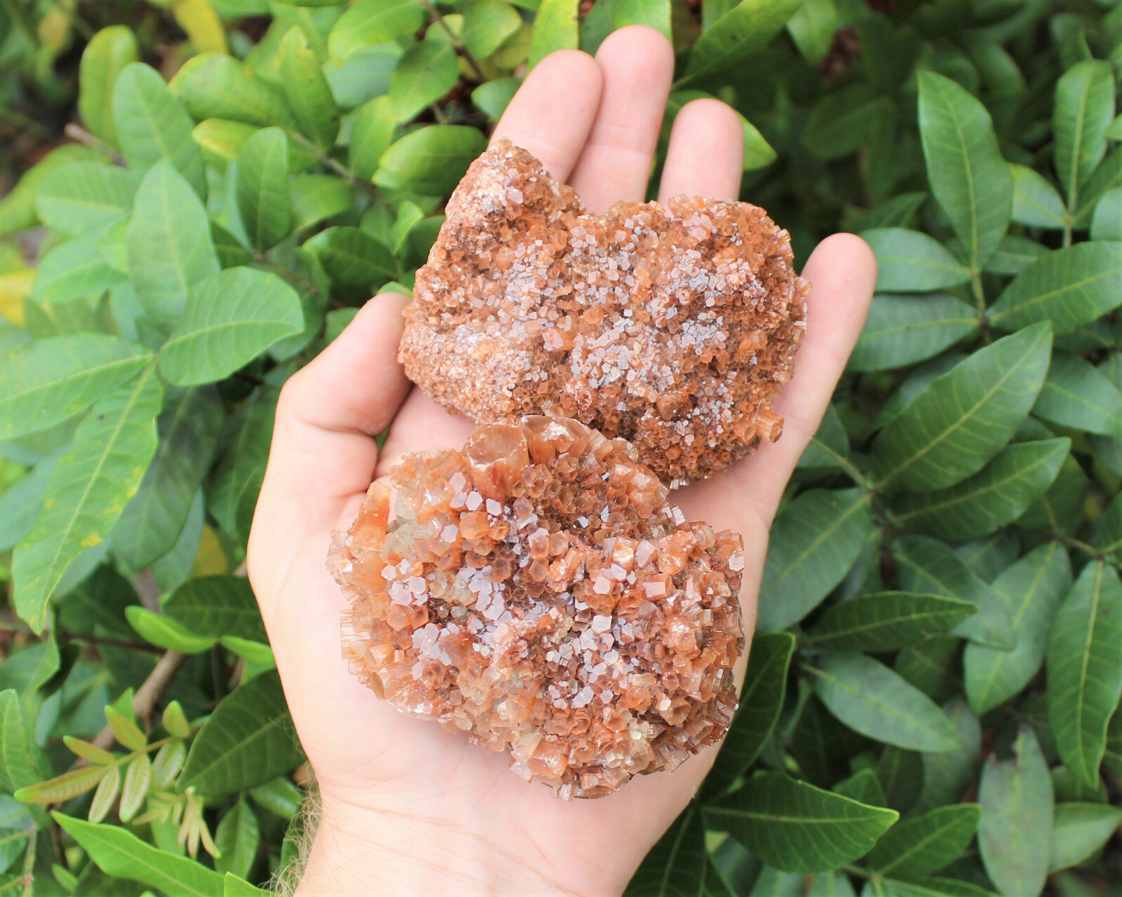 Aragonite Clusters from Morocco ‘A’ Grade Aragonite Crystals: You Choose Size!
