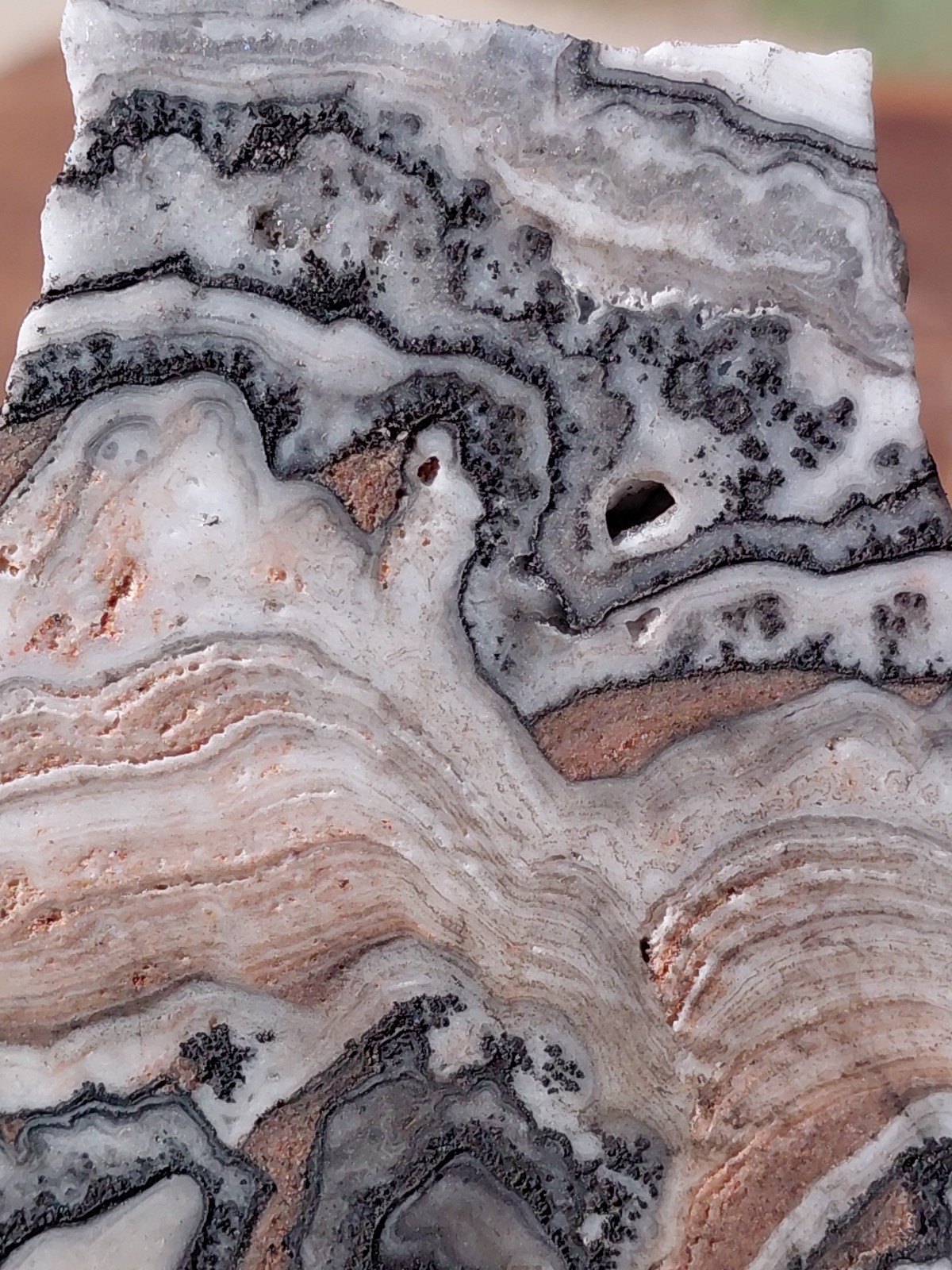 Zebra Calcite Self-Standing “Wedge” Dspl UV Psychedelic Wavey Band 3x 2 1/2″