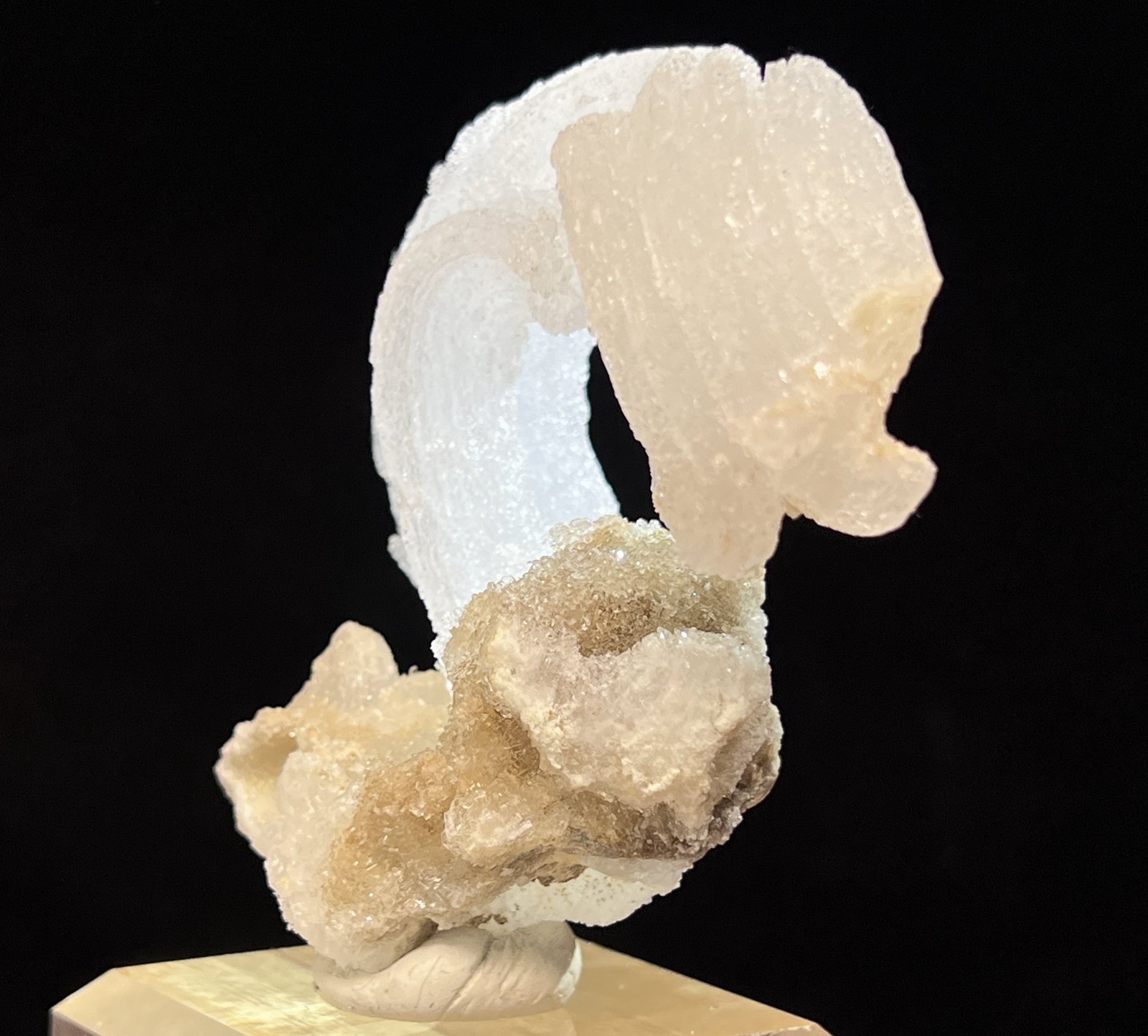 76mm ‘Ram’s Horn’ shape Selenite (Gypsum), Natural Mineral Specimen