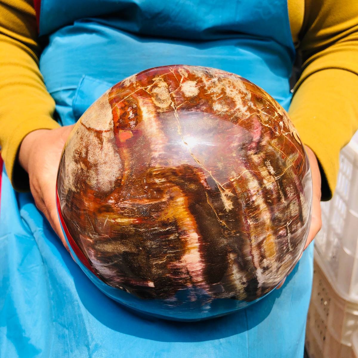 16.1LB Rare Natural Petrified Wood Ball Crystal Quartz Mineral Healing 4708