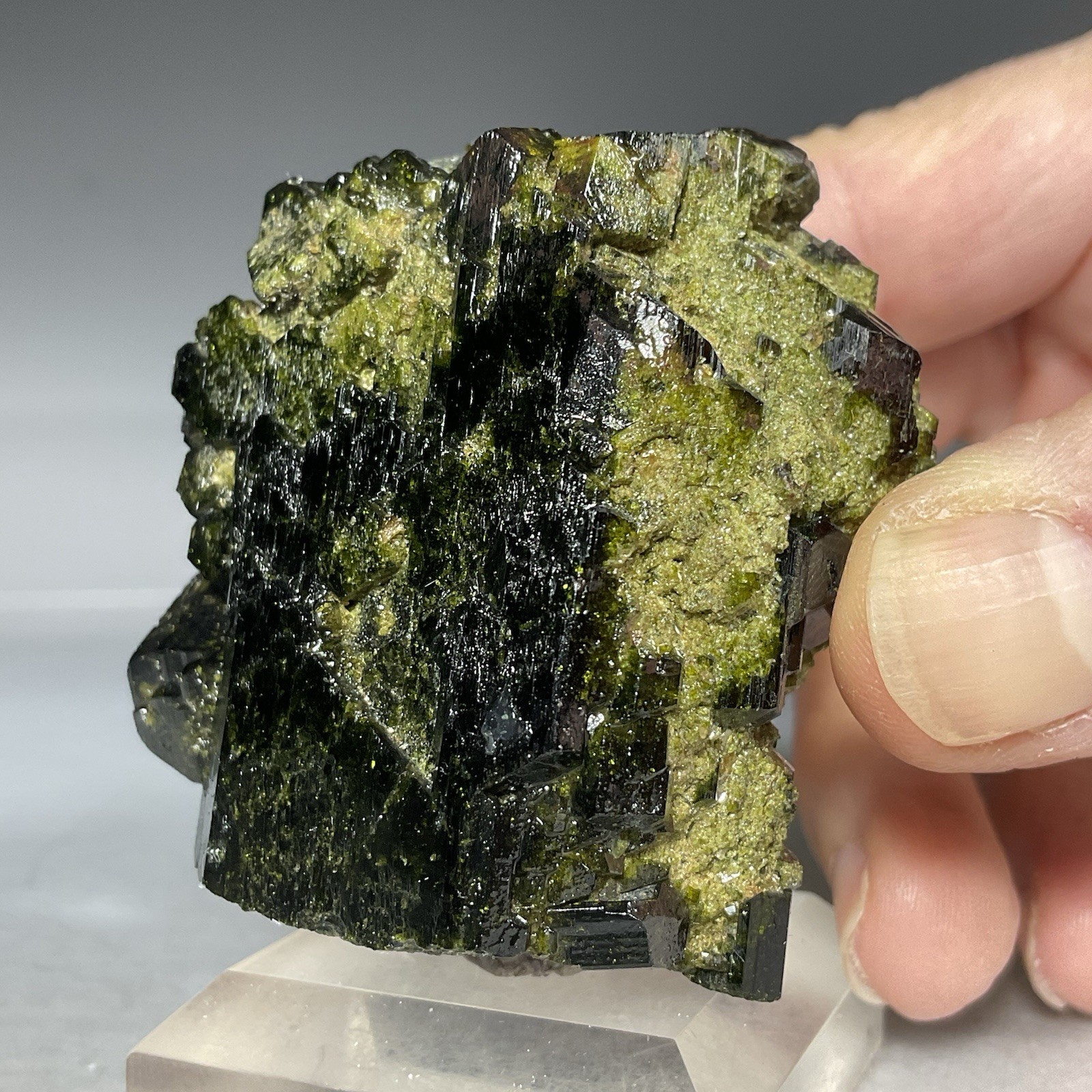 SS Rocks – Epidote (Caneto Province, Lima, Peru) 137g