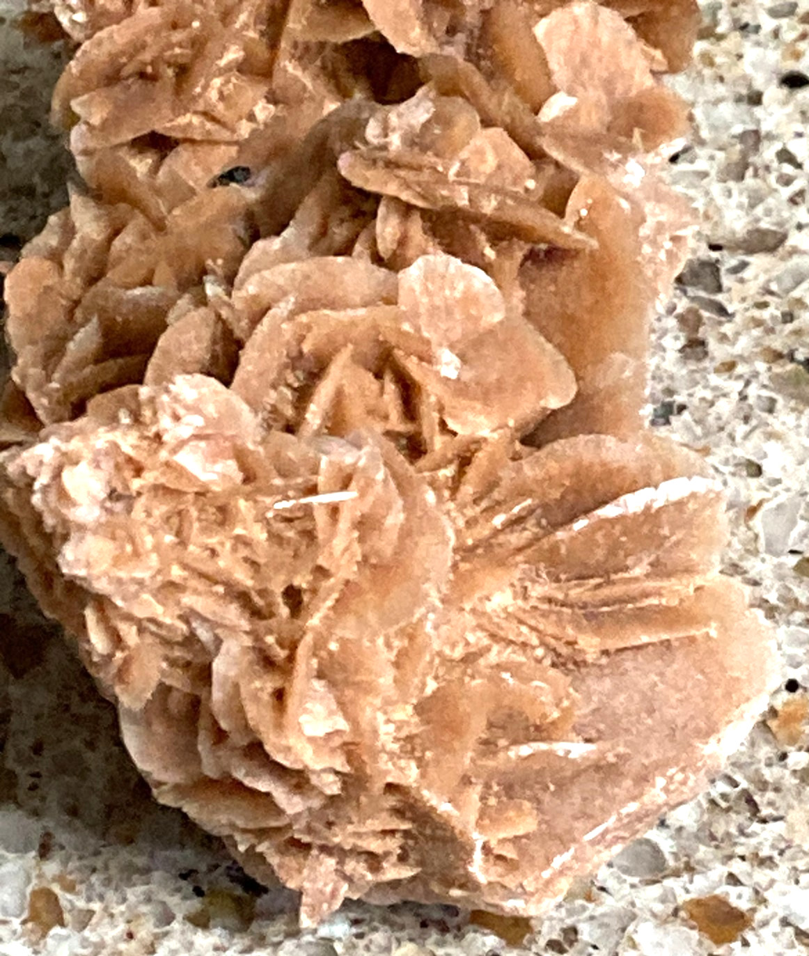 Africa Minerals- Selenite Rose, Celestite, Vanadinite