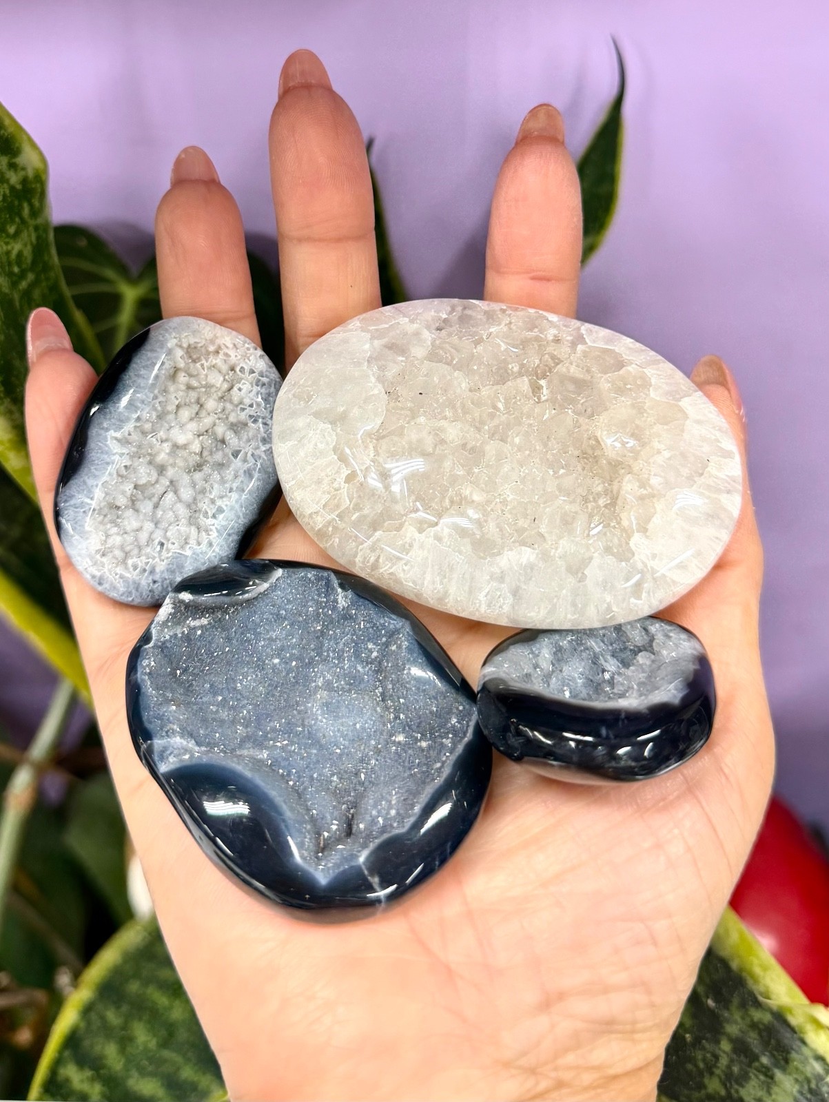Wholesale Lot 2 Lbs Natural Druzy Onyx Palm Stone Crystal Healing Energy.
